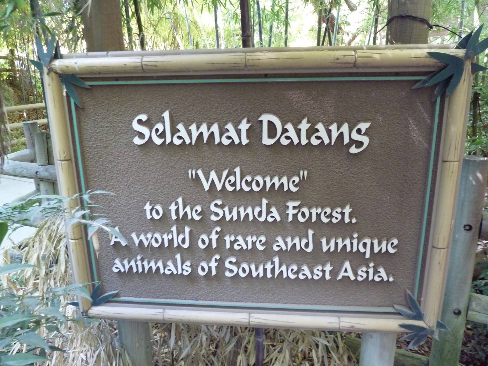 Sunda Forest - Entrance Sign