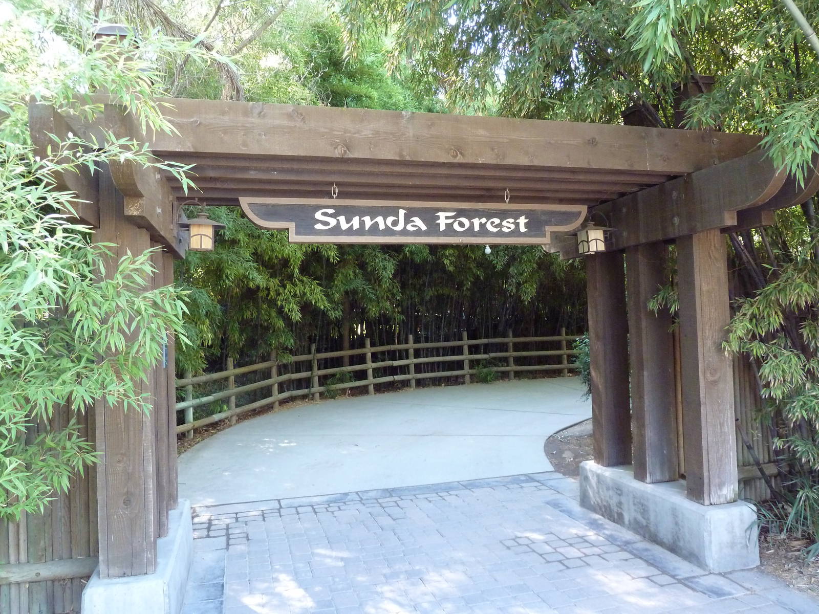 Sunda Forest - Entrance