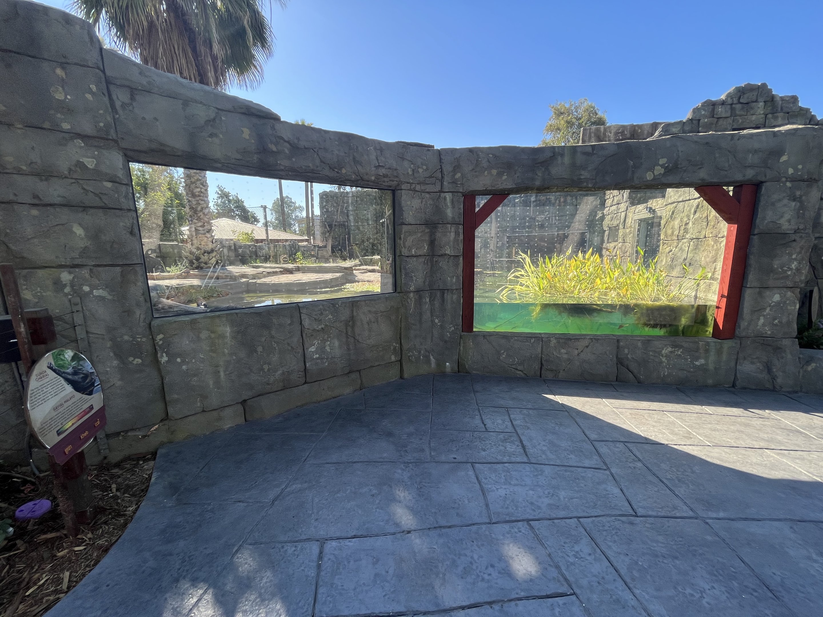 Sunda Gharial Exhibit - New in 2023