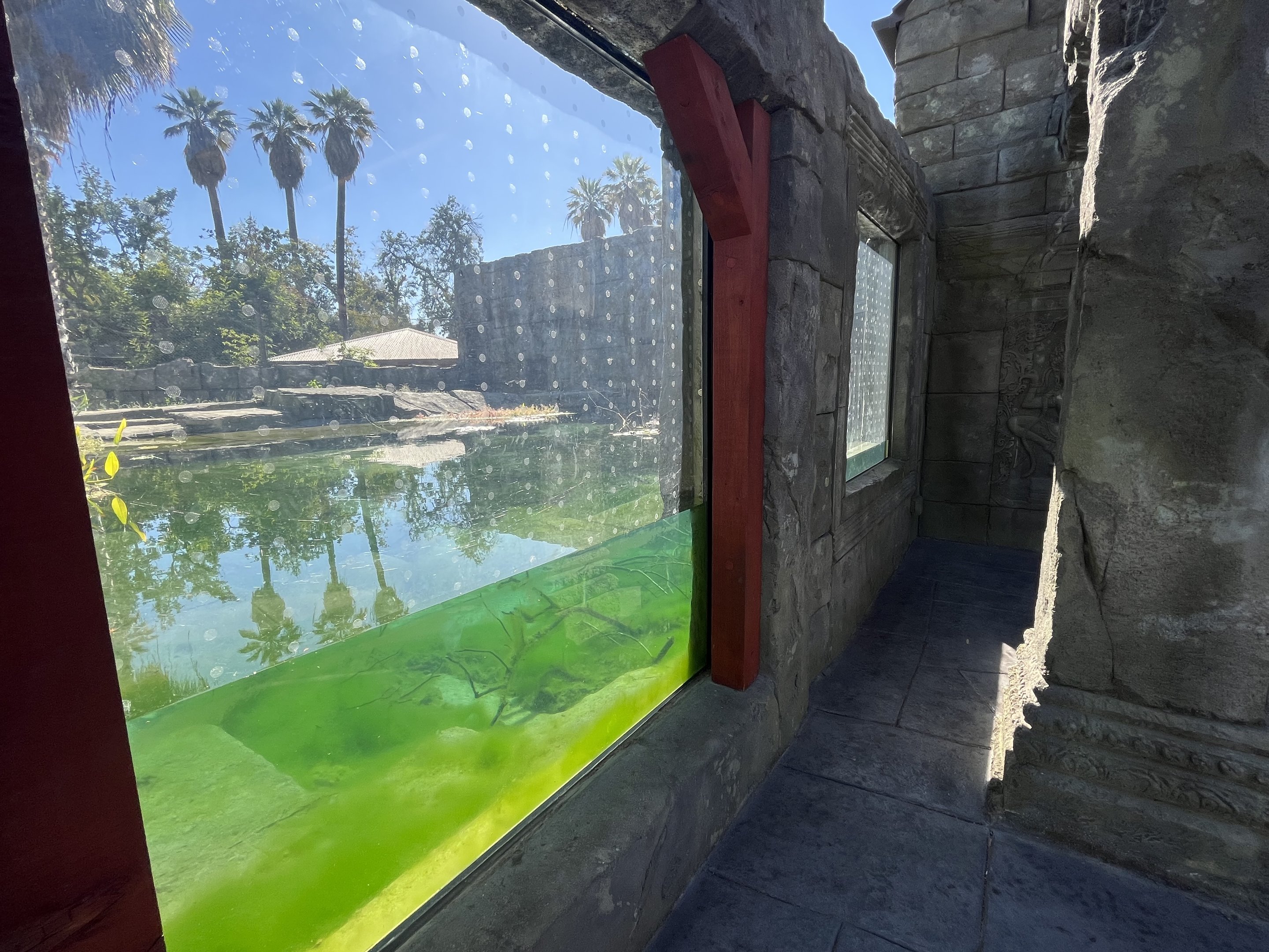 Sunda Gharial Exhibit - New in 2023