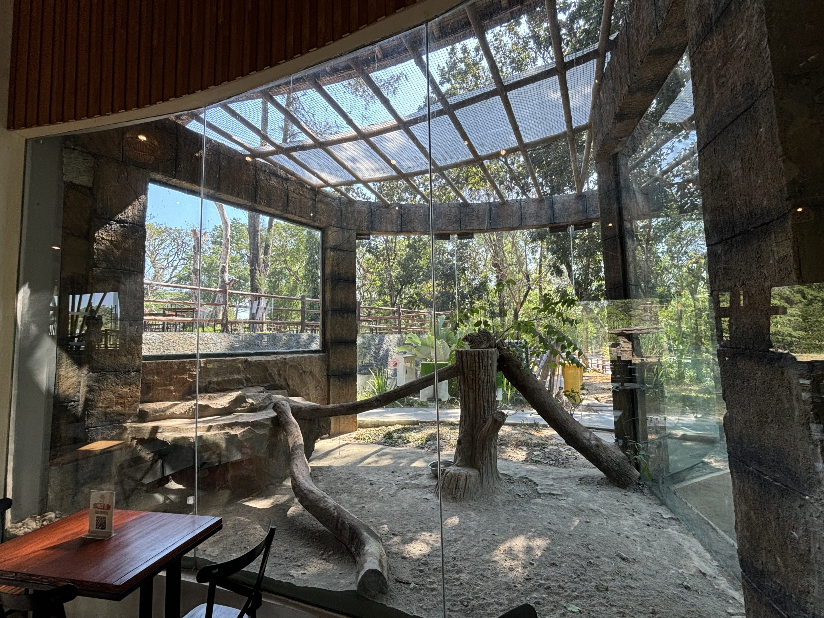 Sunda Leopard Cat Exhibit - Solo Safari