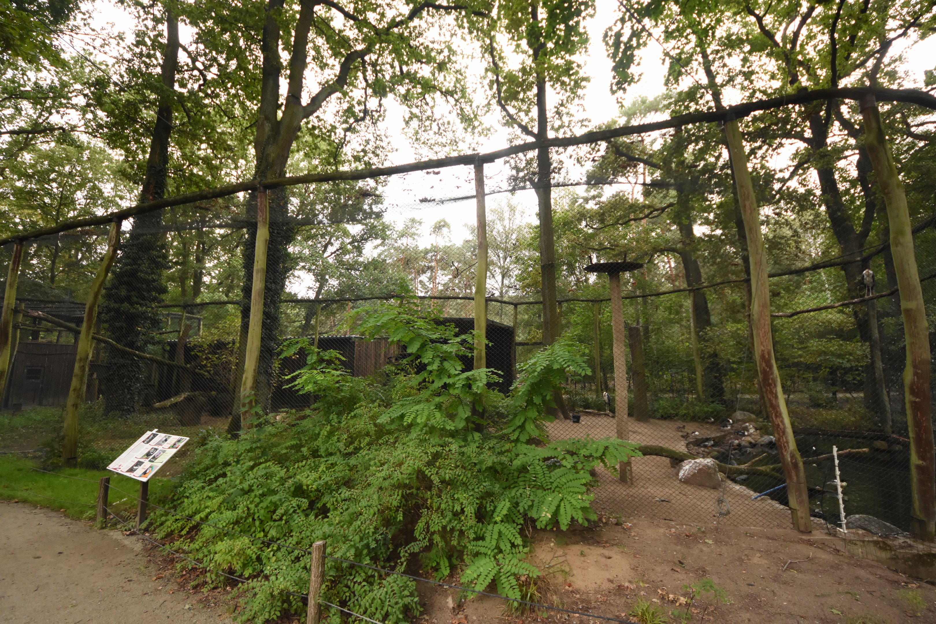 Sunda marabu aviary
