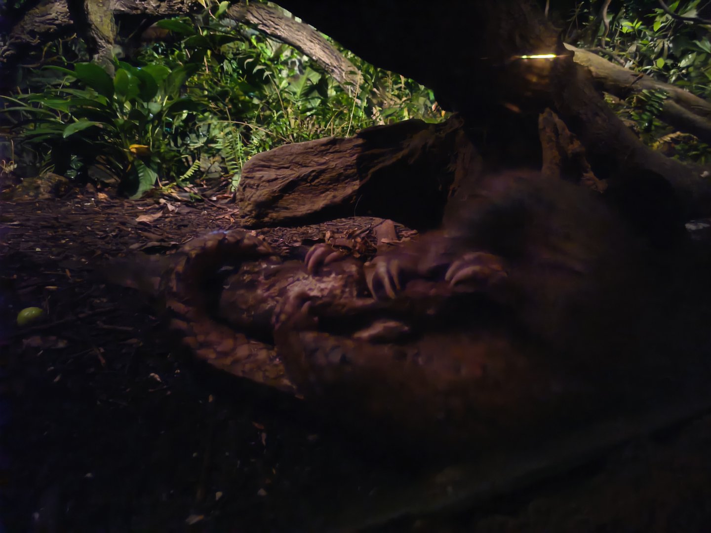 Sunda Pangolin (Manis javanica)