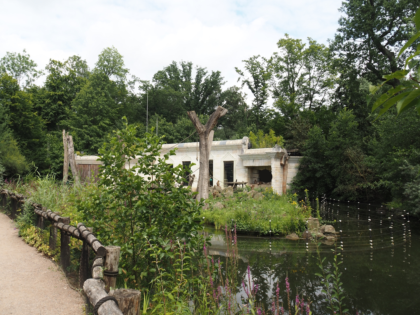 Sunda pig-tailed macaque and temple island, 2024-08-05