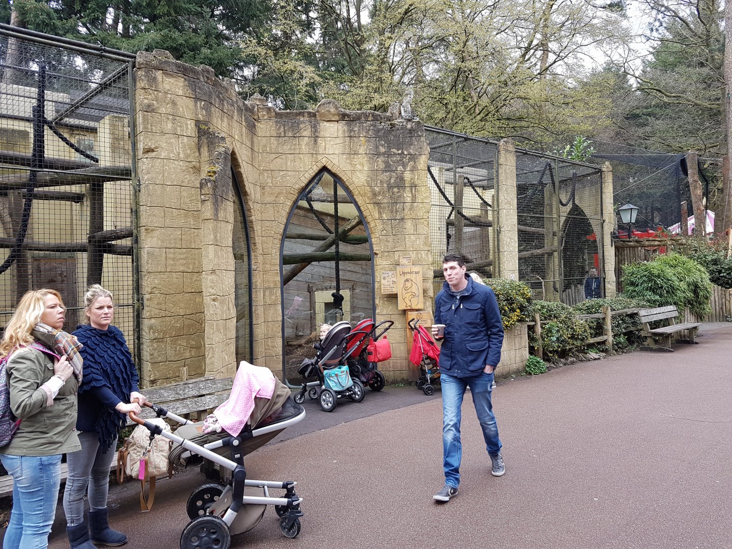 Sunda pig-tailed macaque-enclosure
