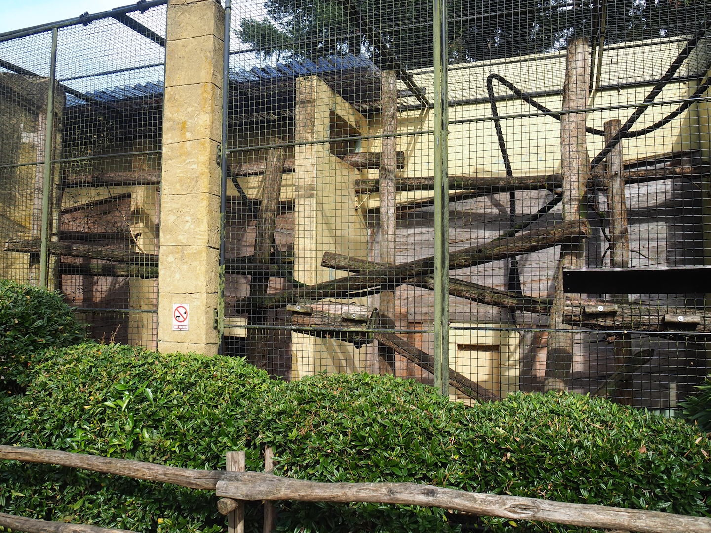 Sunda pig-tailed macaque exhibit, 2023-09-24