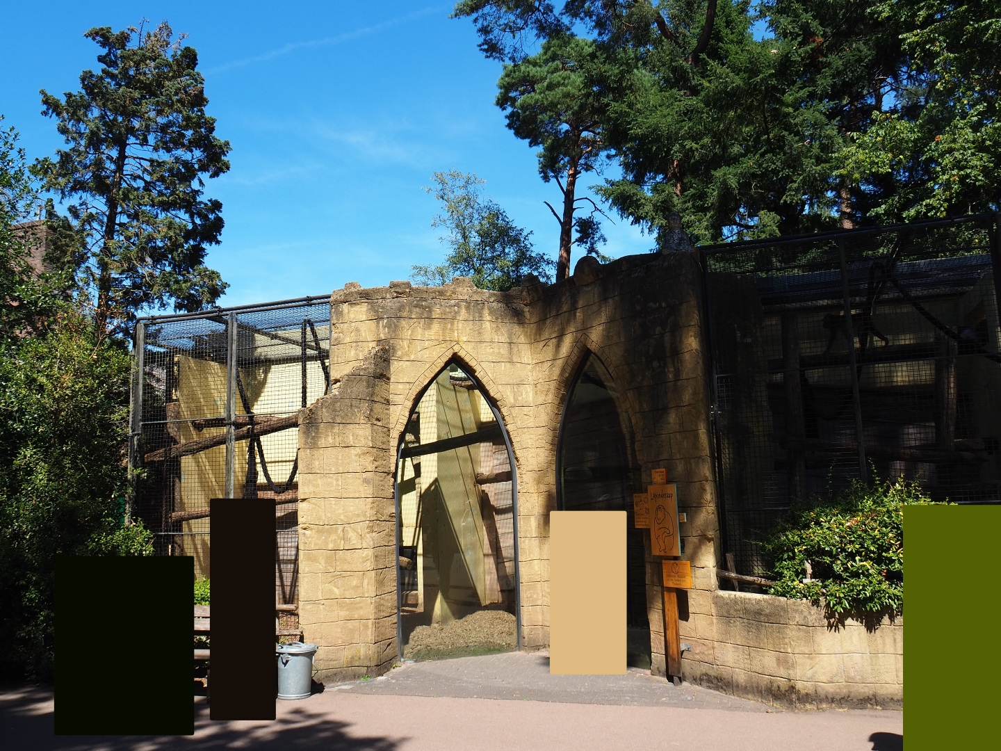 Sunda pig-tailed macaque exhibit