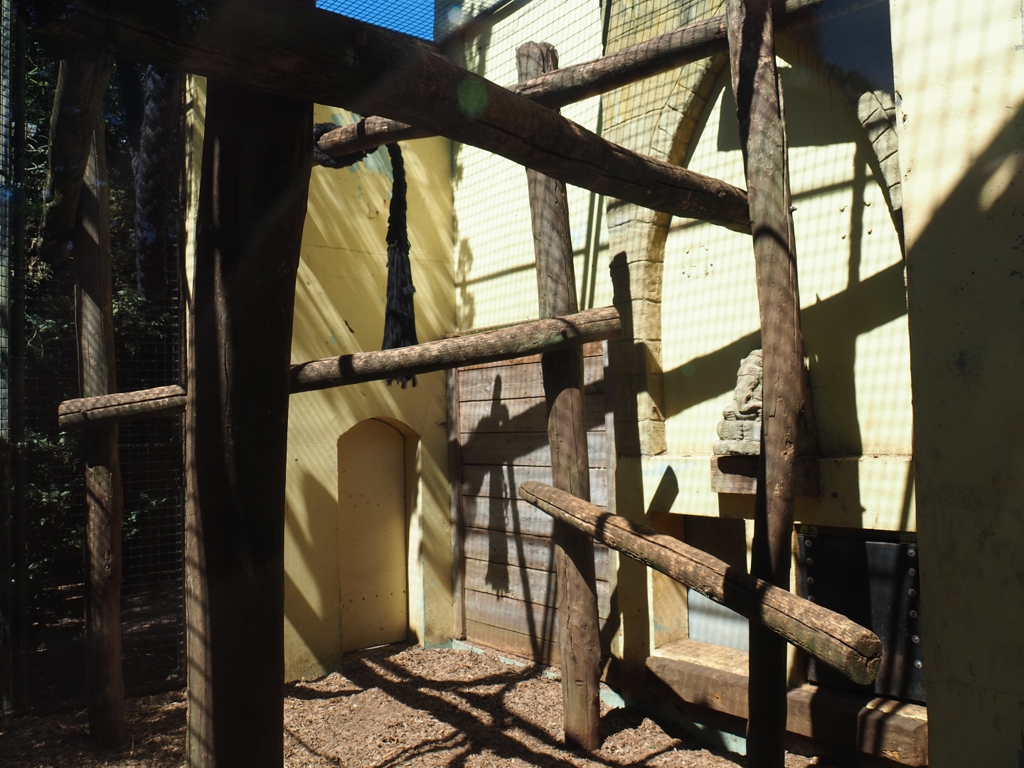 Sunda pig-tailed macaque exhibit