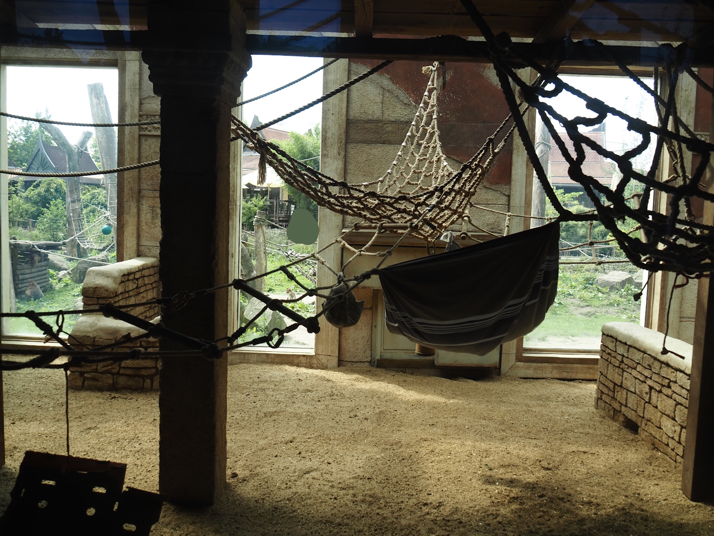 Sunda pig-tailed macaque indoor exhibit, 2024-08-05