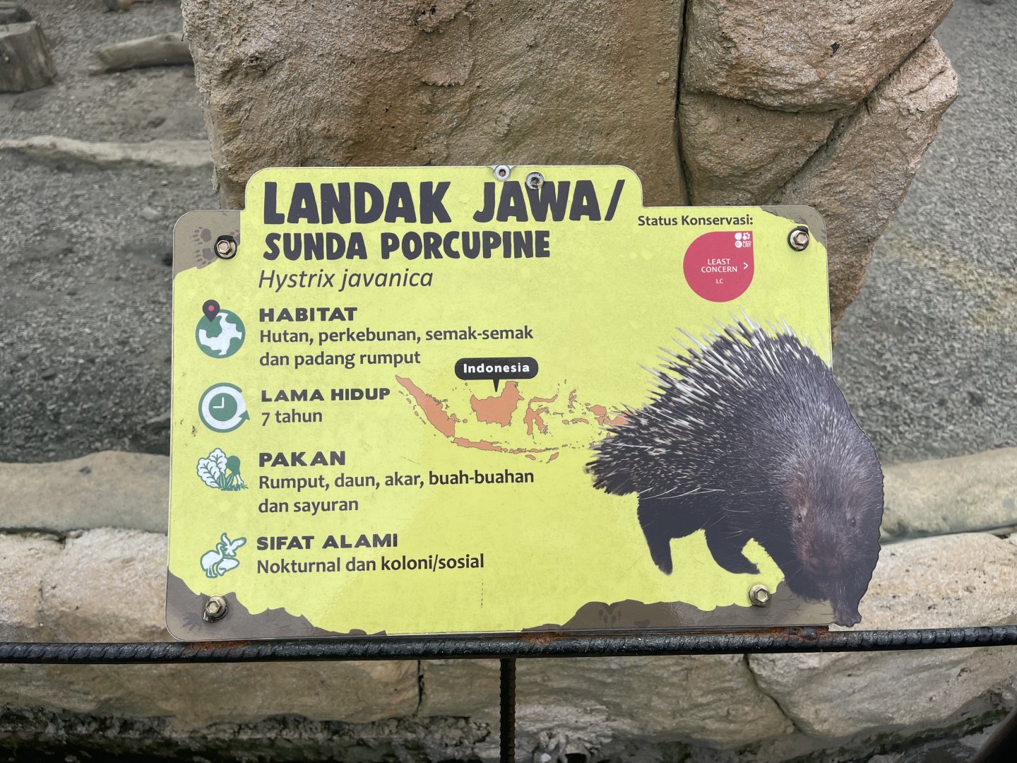 sunda porcupine signage