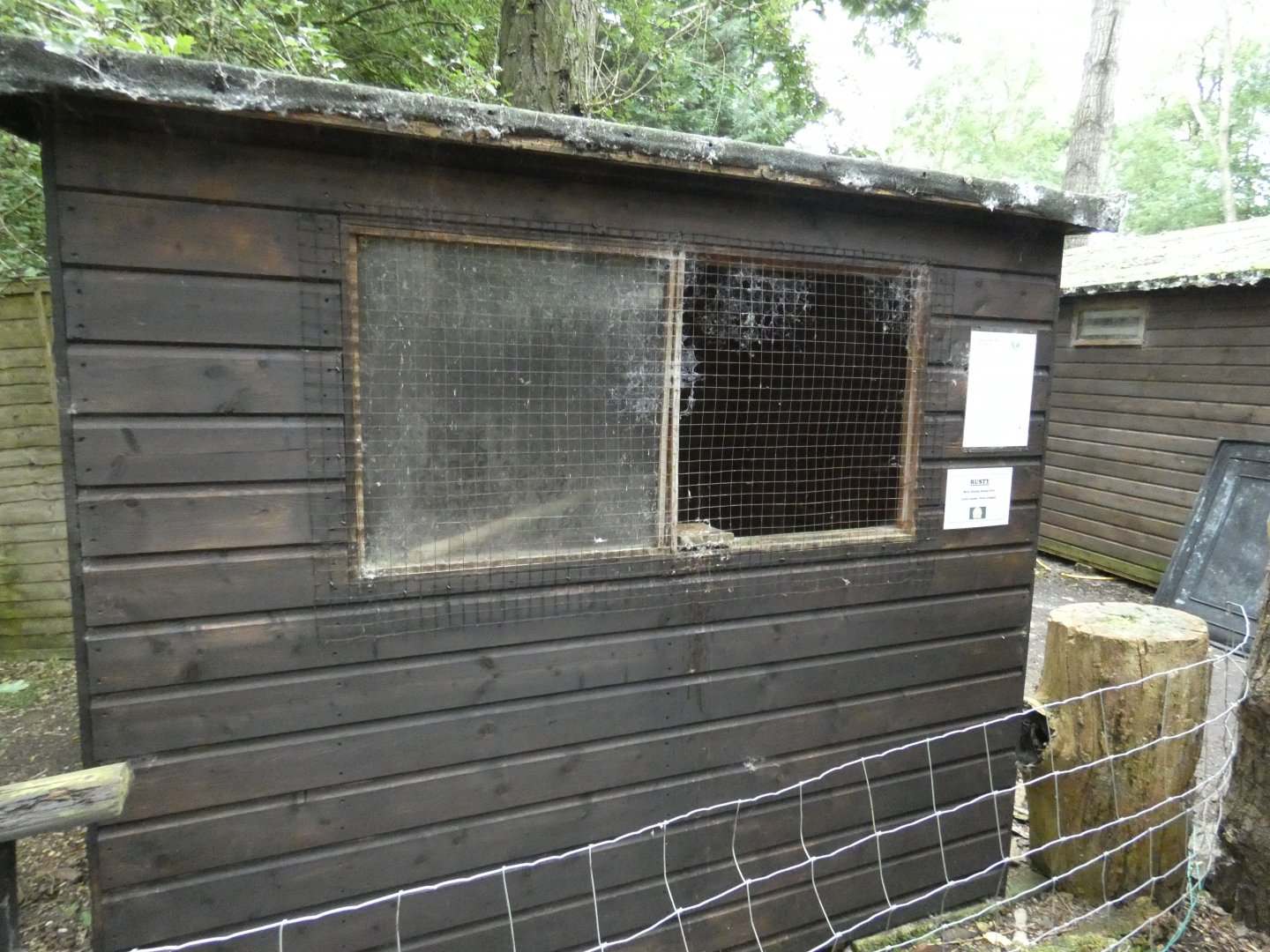 Sunda scops owl aviary (Rutland Falconry Centre)