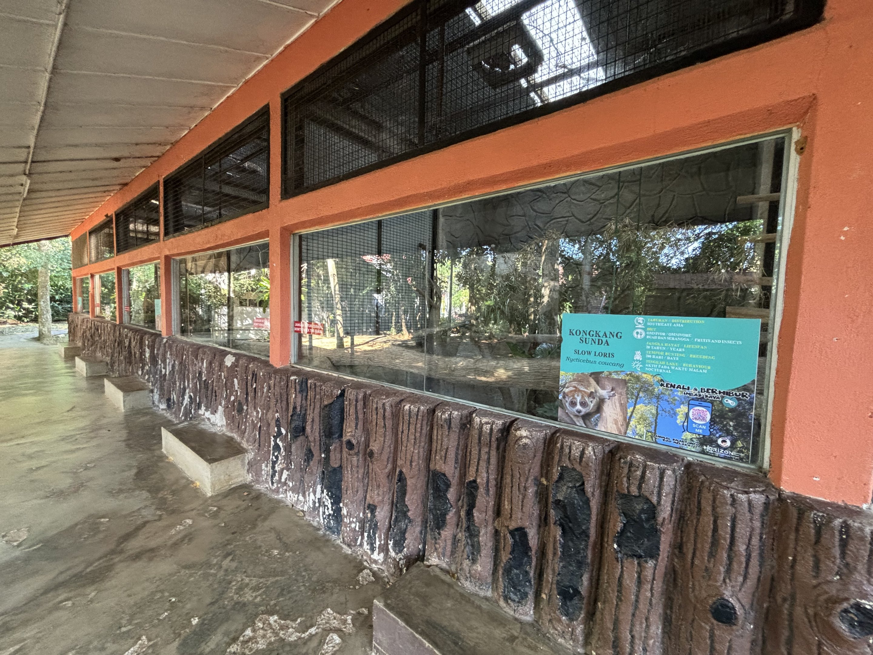 Sunda Slow Loris + Domestic Ferret Exhibits