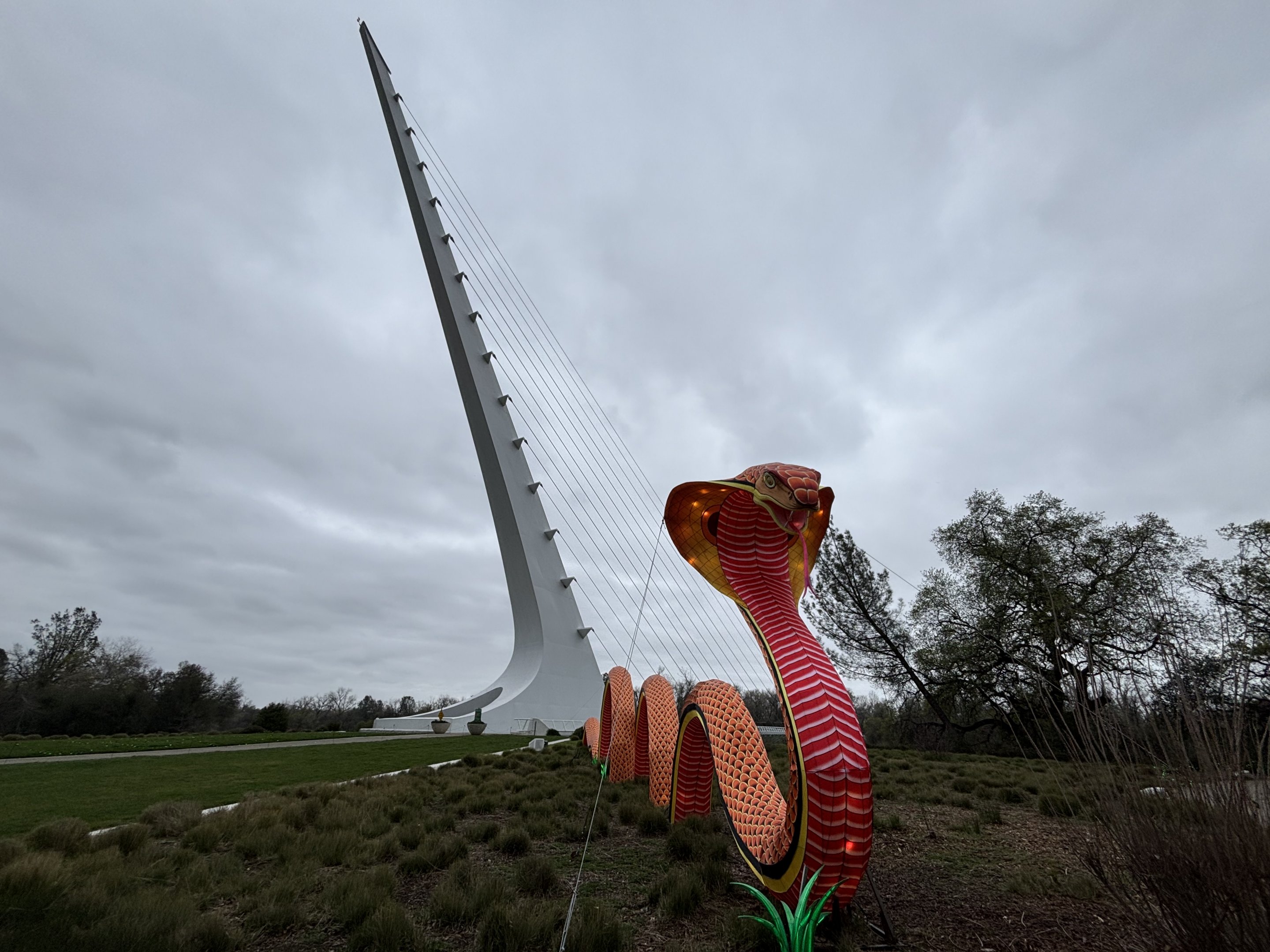 Sundial Bridge + King Cobra