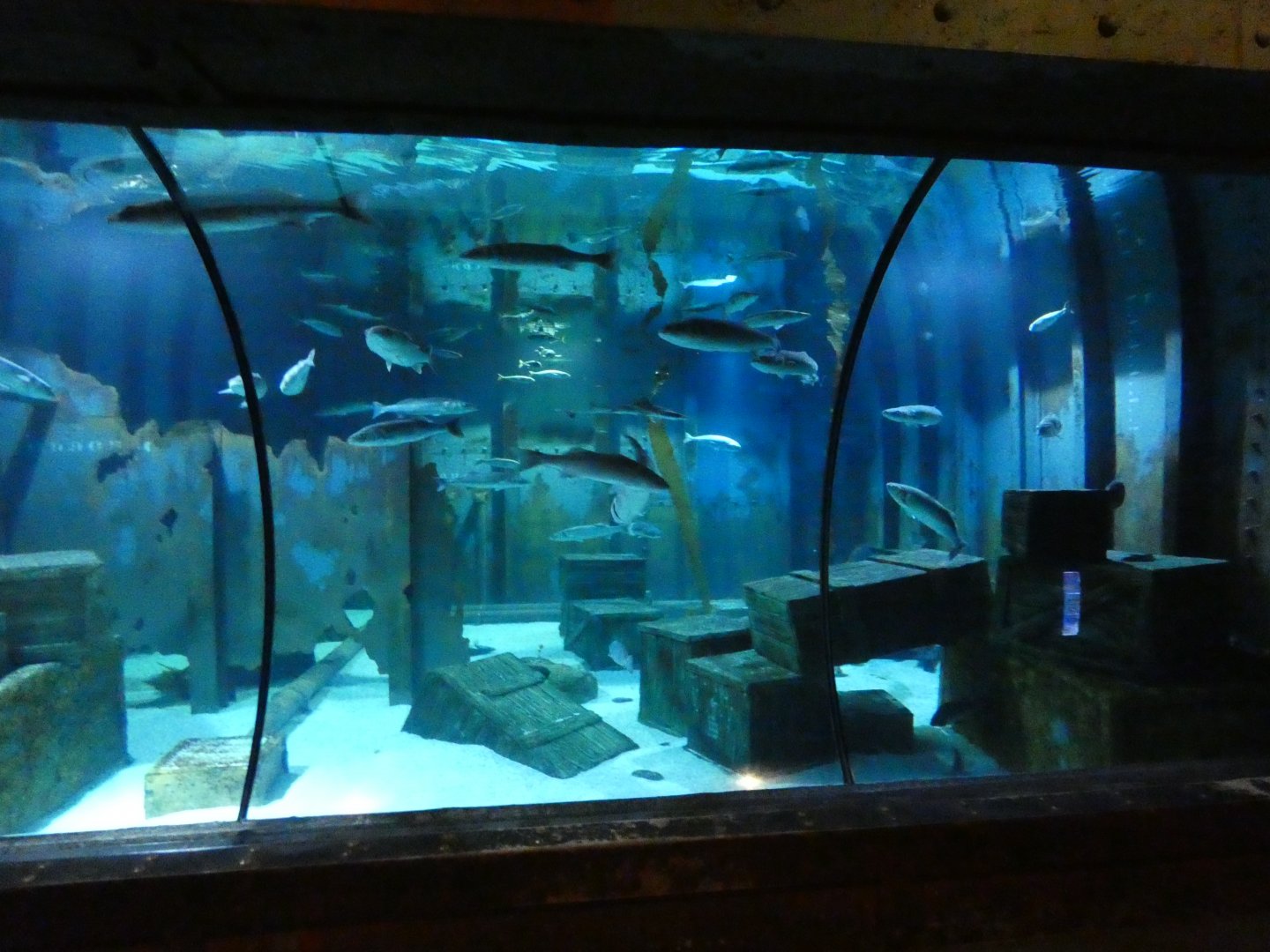 Sunken Ship (Native species exhibit)