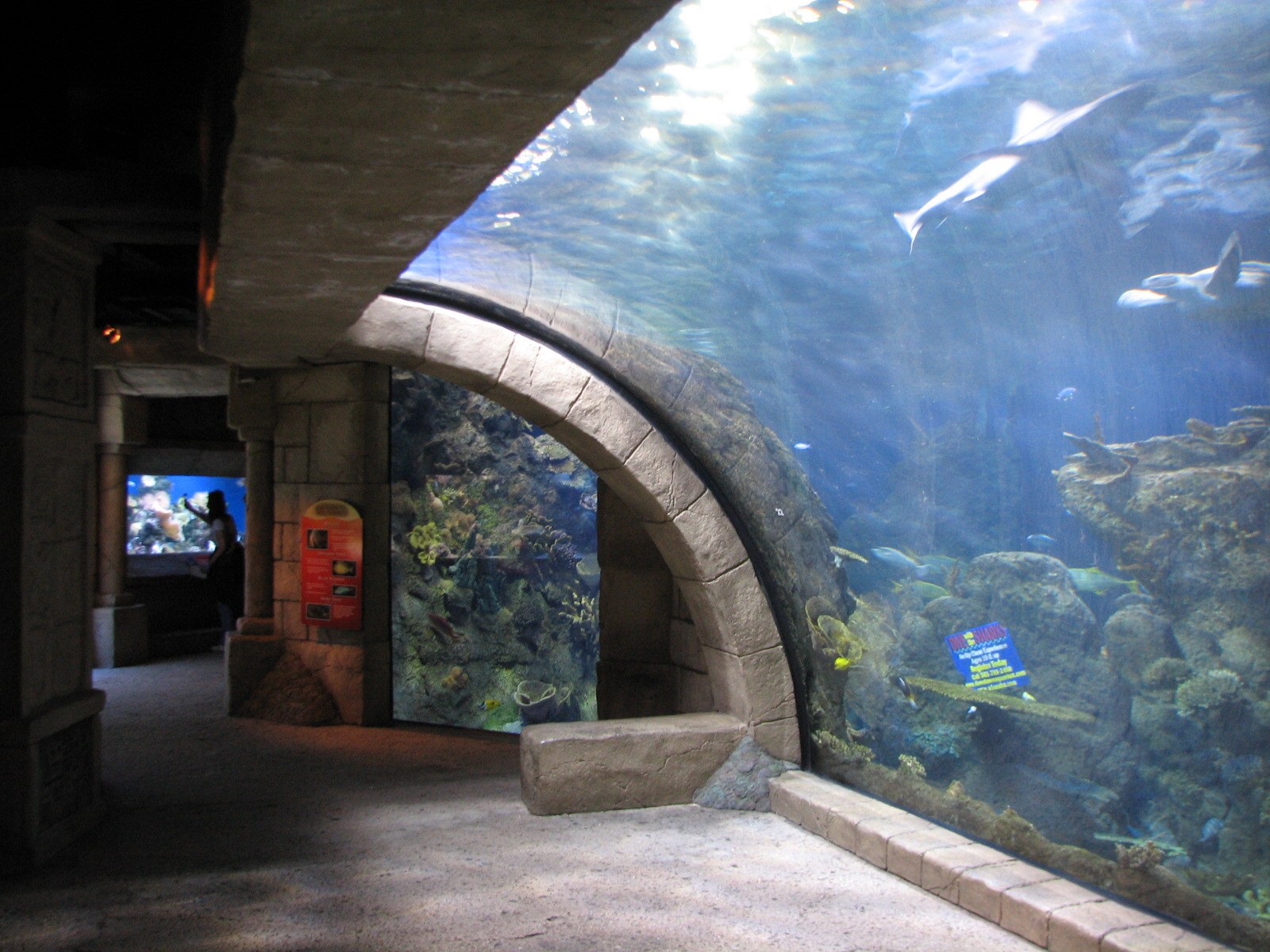 Sunken Temple - Aquarium