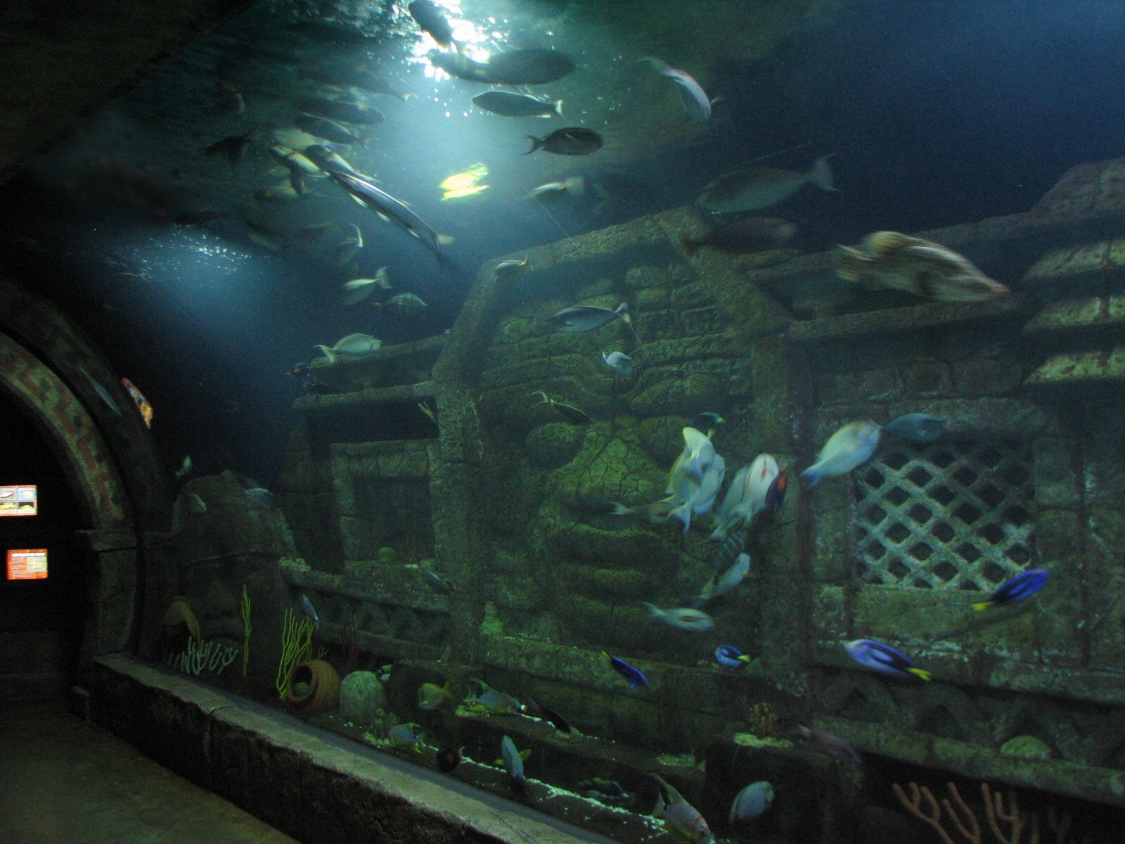 Sunken Temple - Large Tank