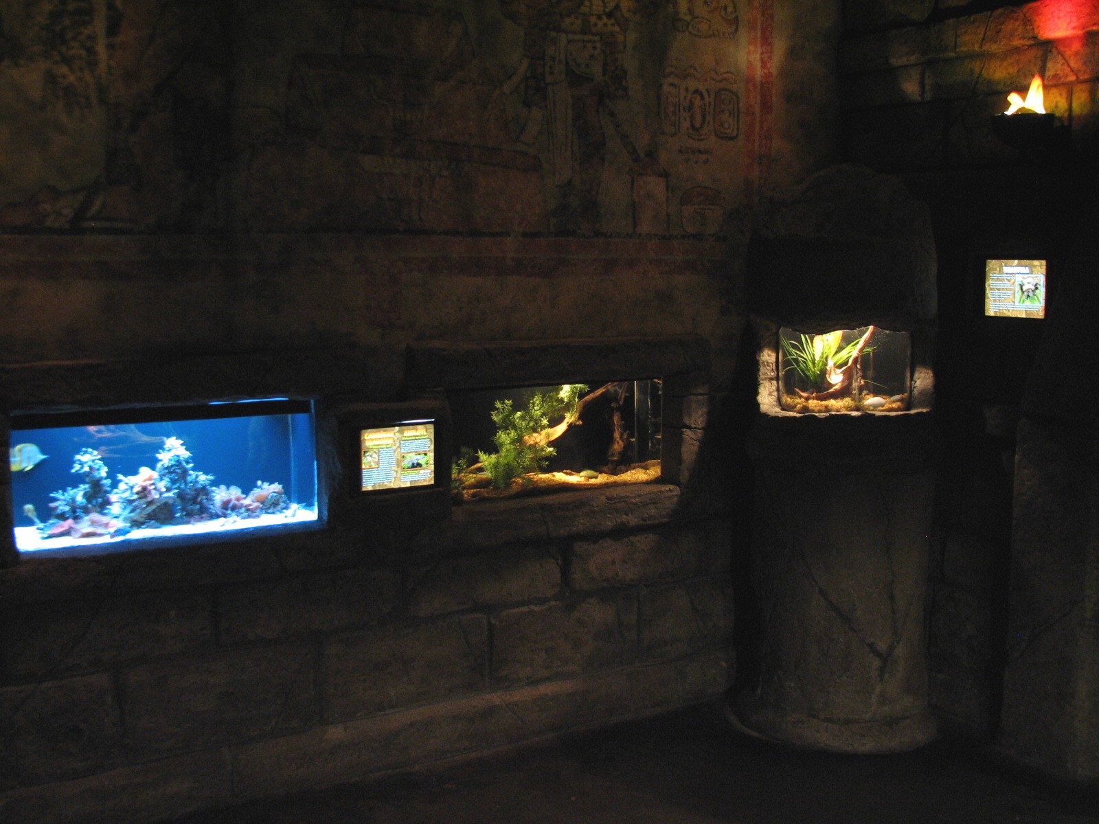 Sunken Temple - Seahorse, Axolotl, and Tarantula Exhibits