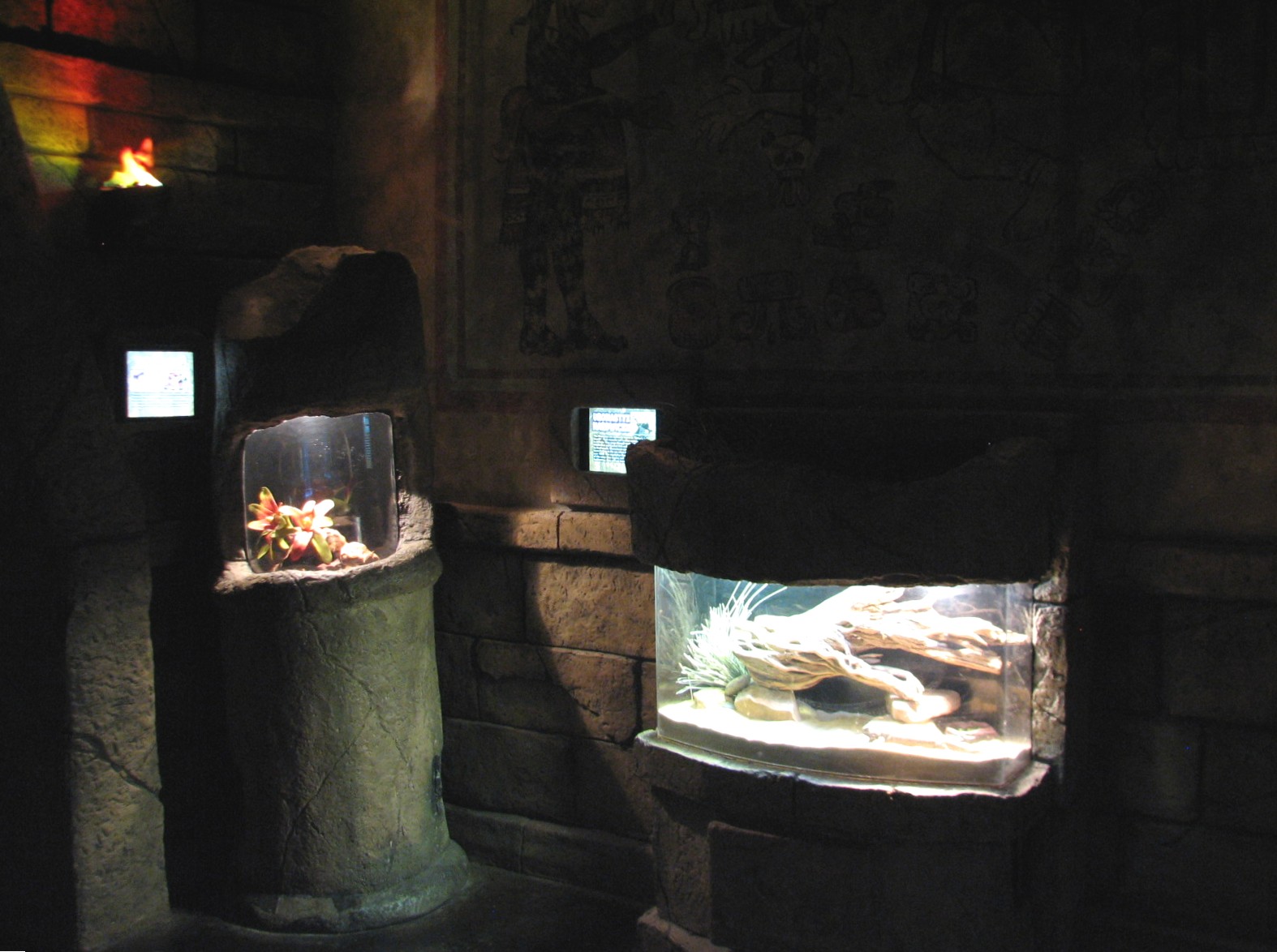 Sunken Temple - Spiny-tailed Lizard and Milksnake Exhibits