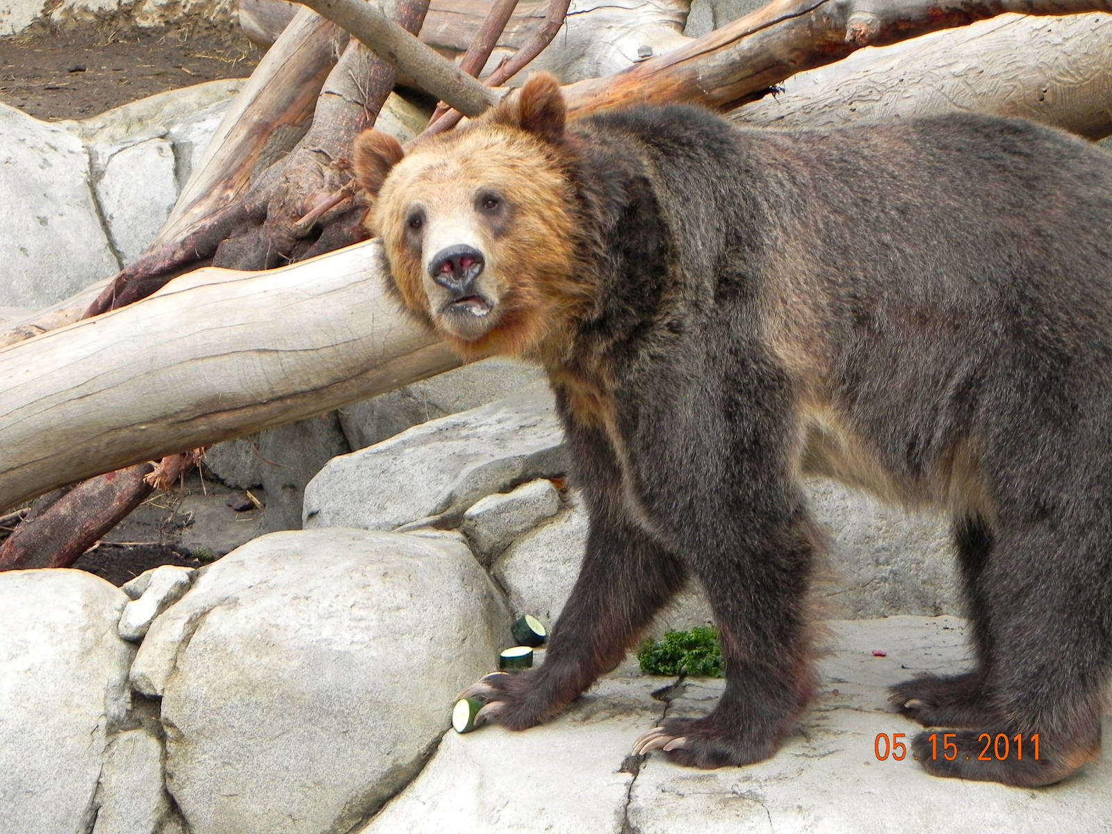 Sunrise Stroll-found it!