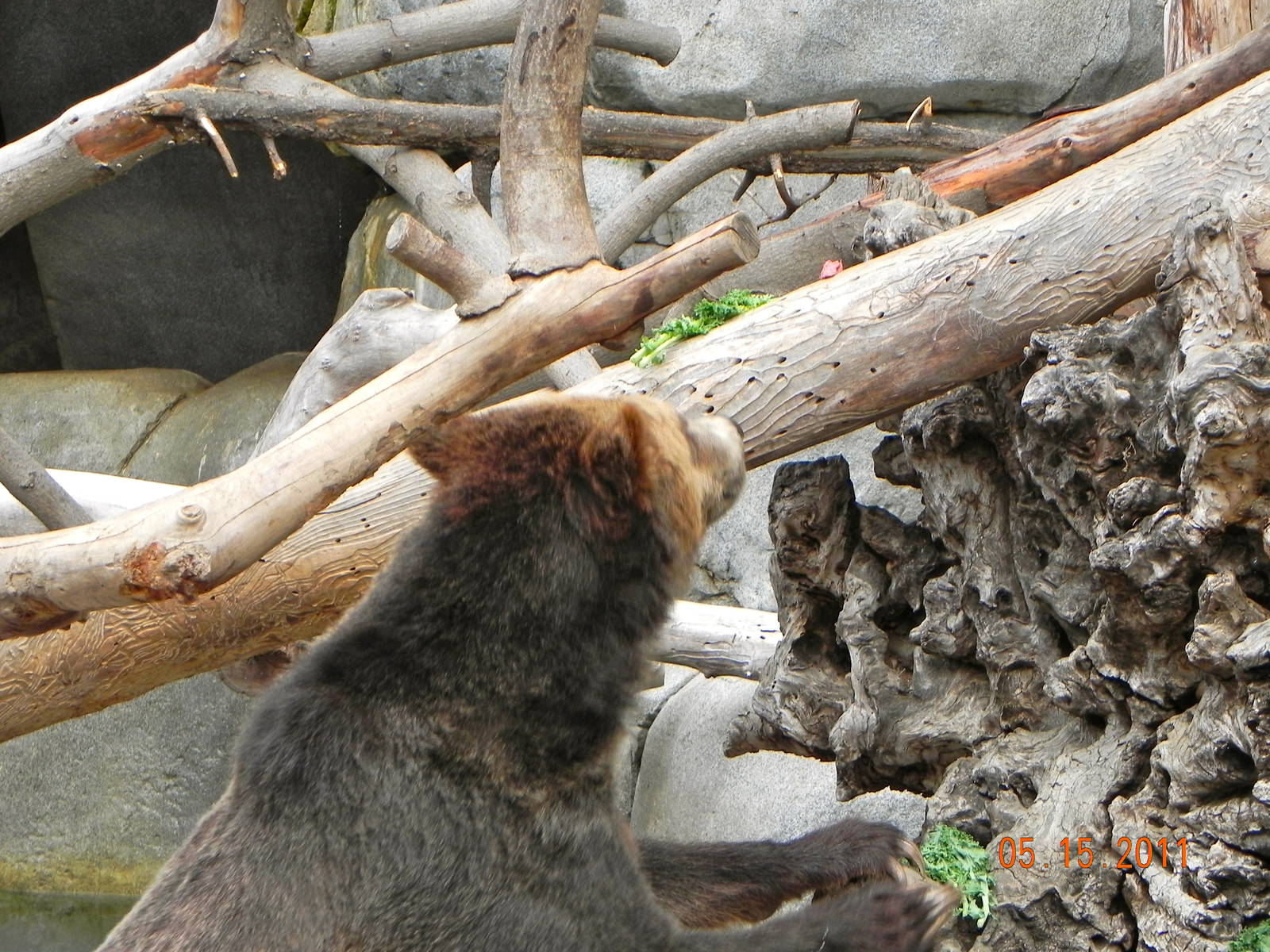 Sunrise Stroll-found it!