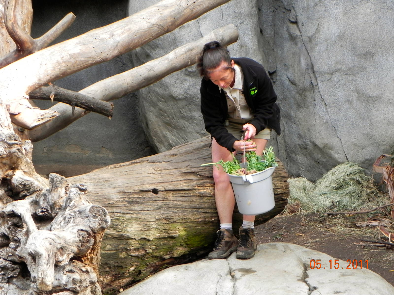 Sunrise Stroll-Keeper placing food