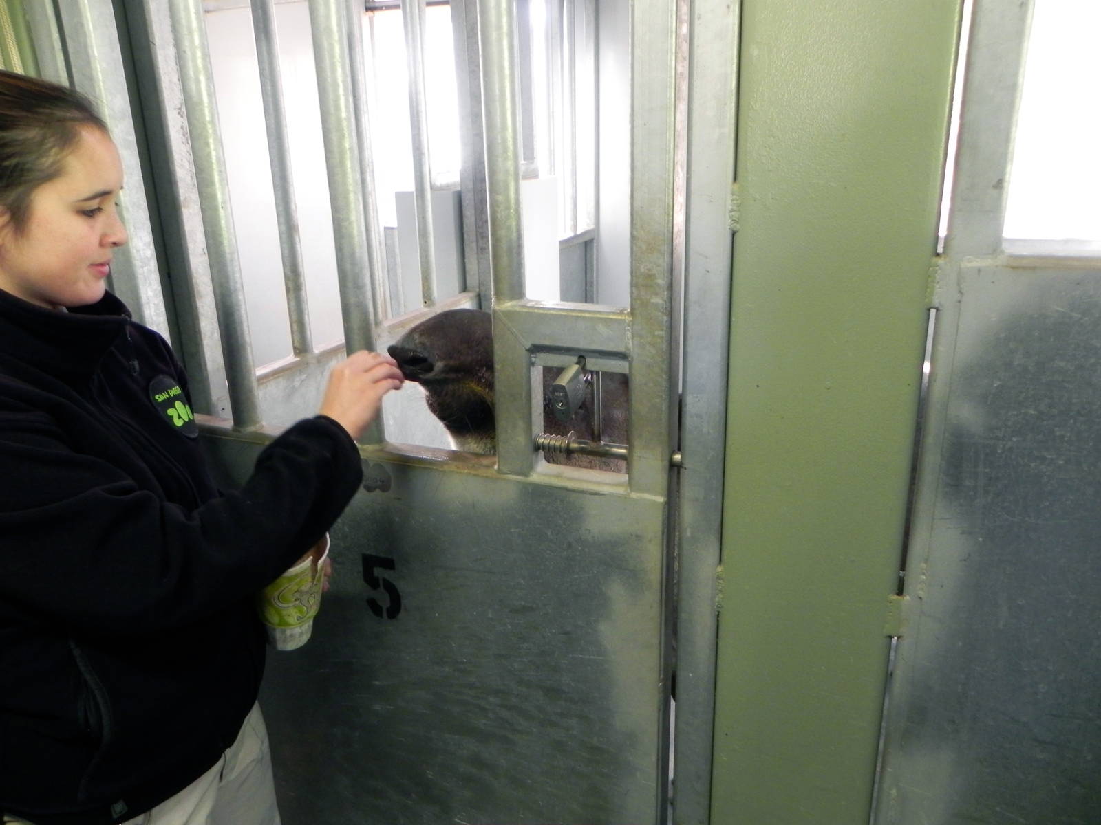 Sunrise Stroll mixed exhibit barn