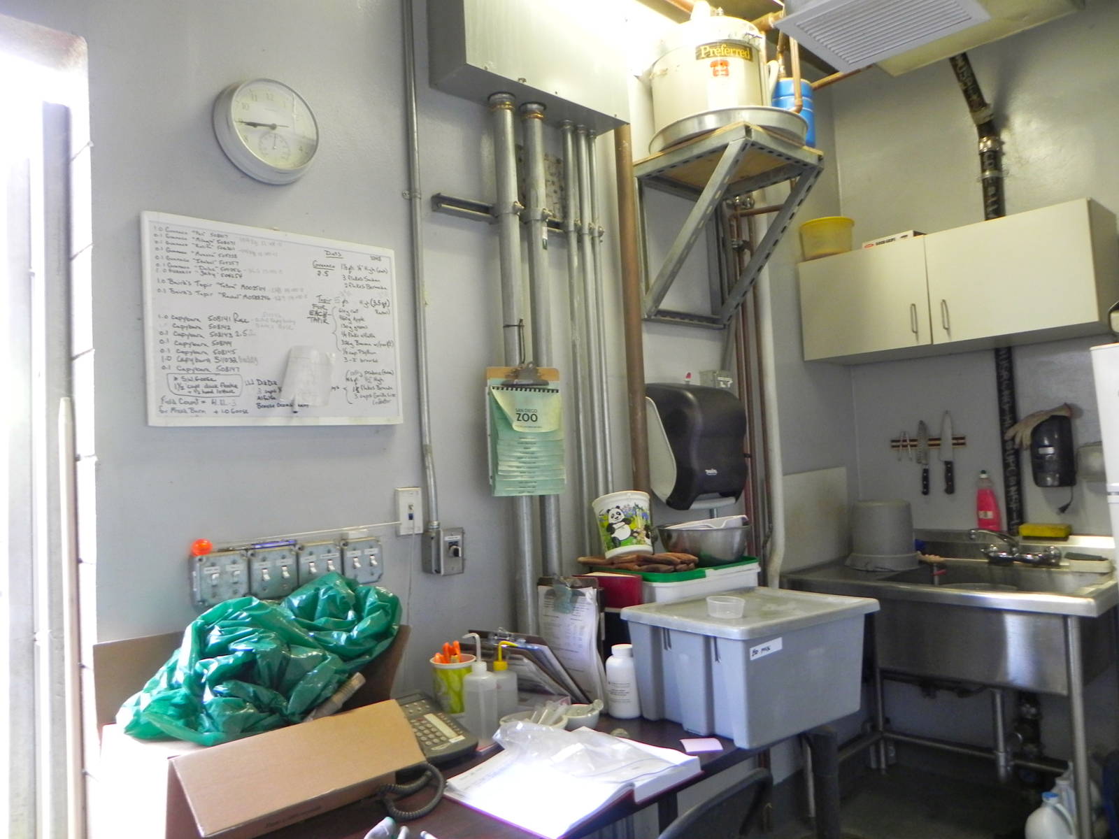 Sunrise Stroll mixed exhibit barn