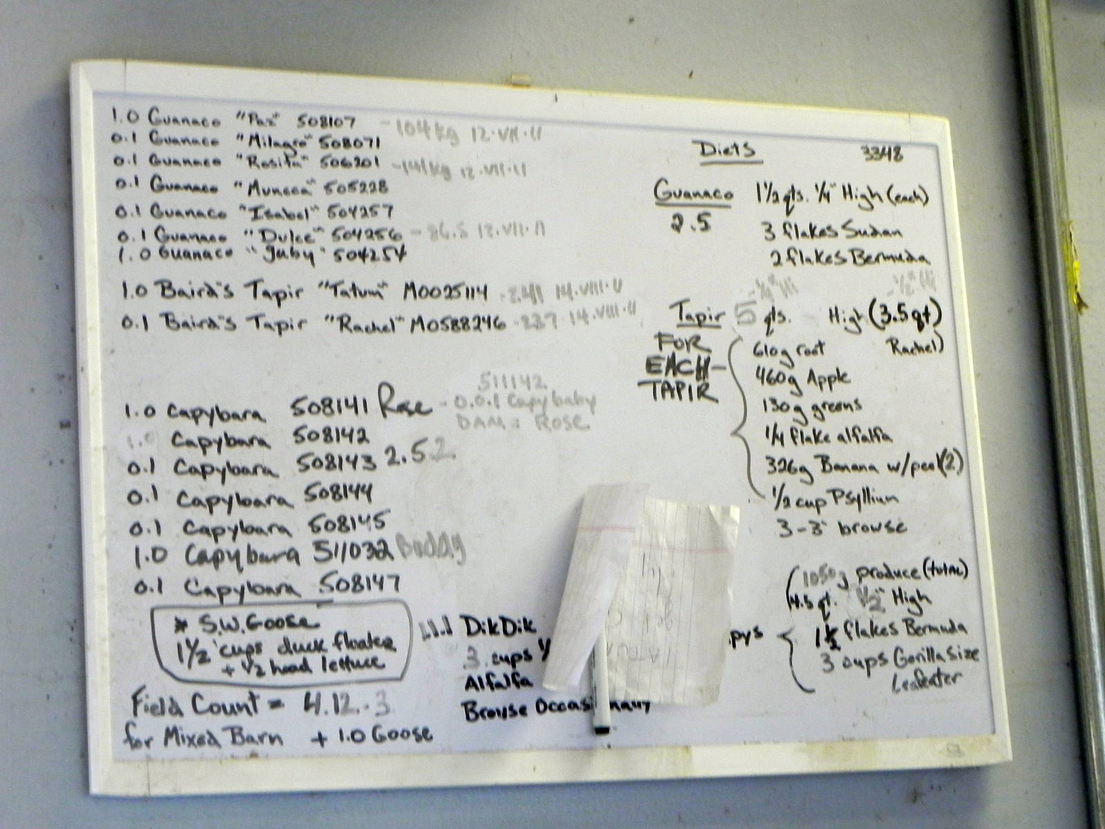 Sunrise Stroll mixed exhibit barn