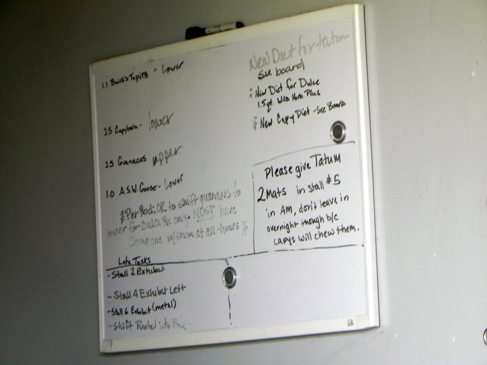 Sunrise Stroll mixed exhibit barn