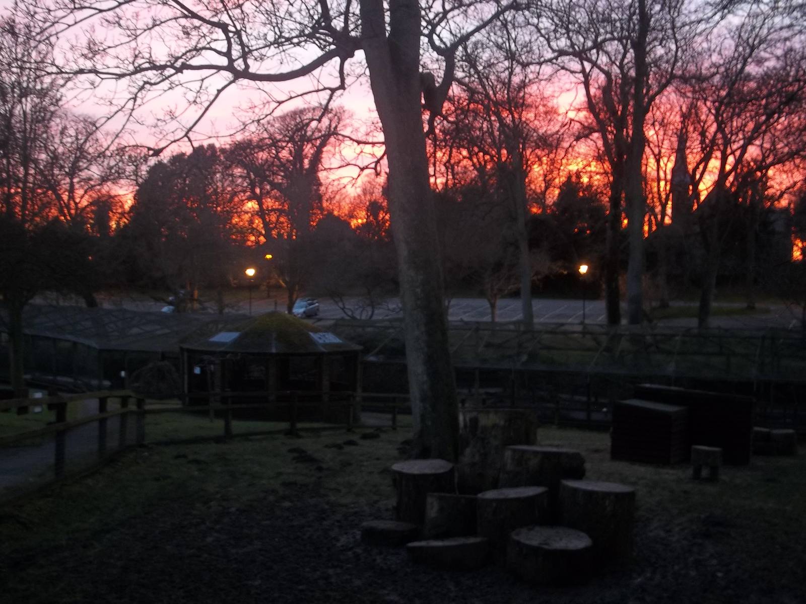 Sunset, 7th February 2015