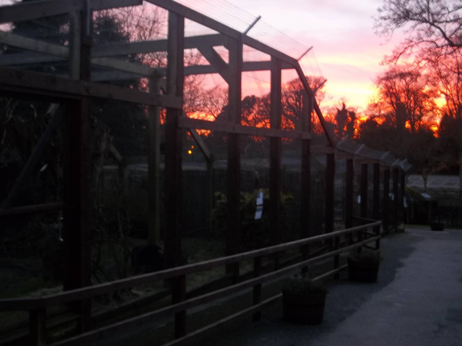 Sunset, 7th February 2015