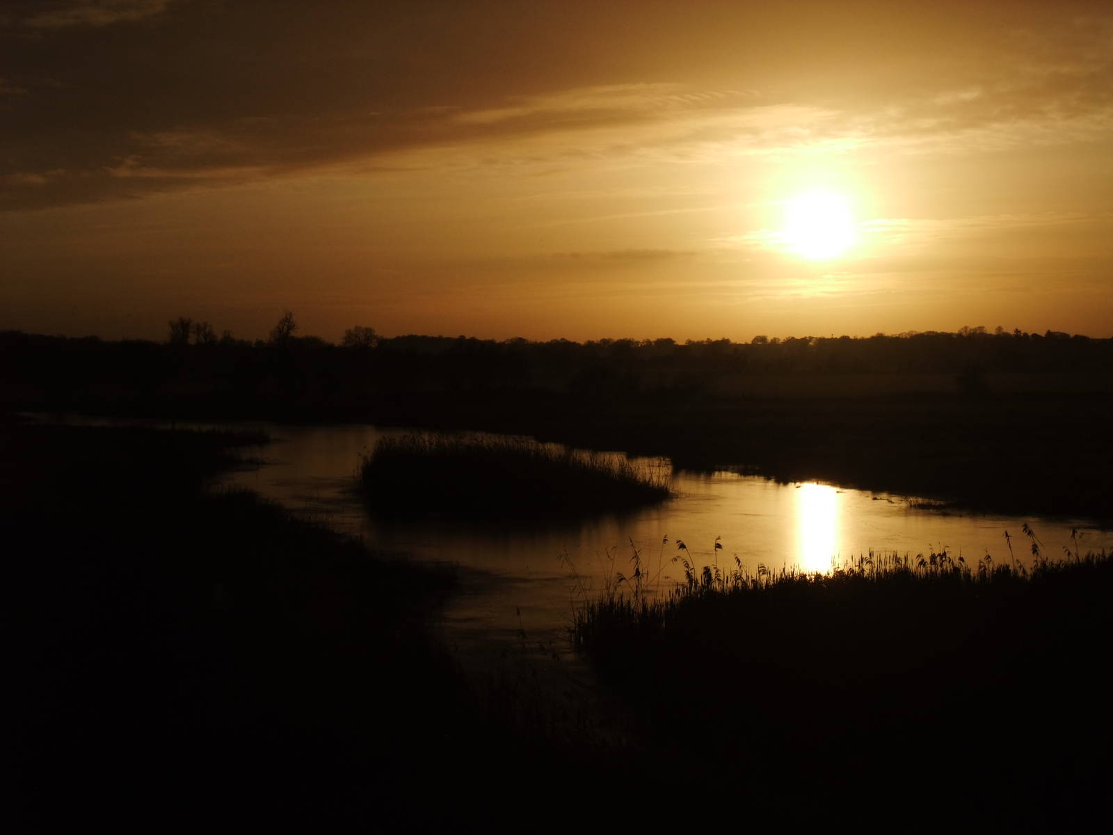 Sunset at Slimbridge, 05/02/12