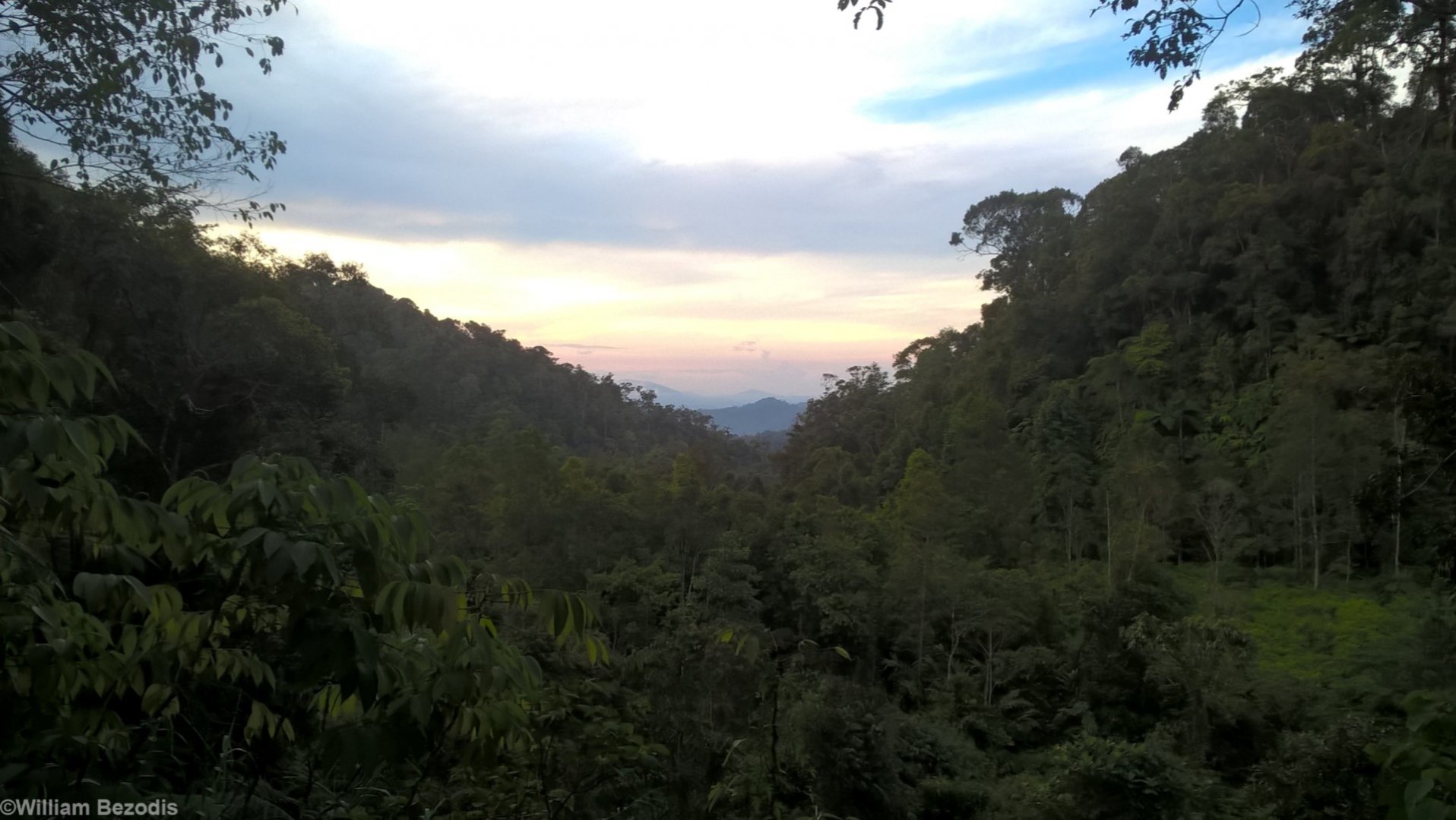 Sunset - Fraser's Hill