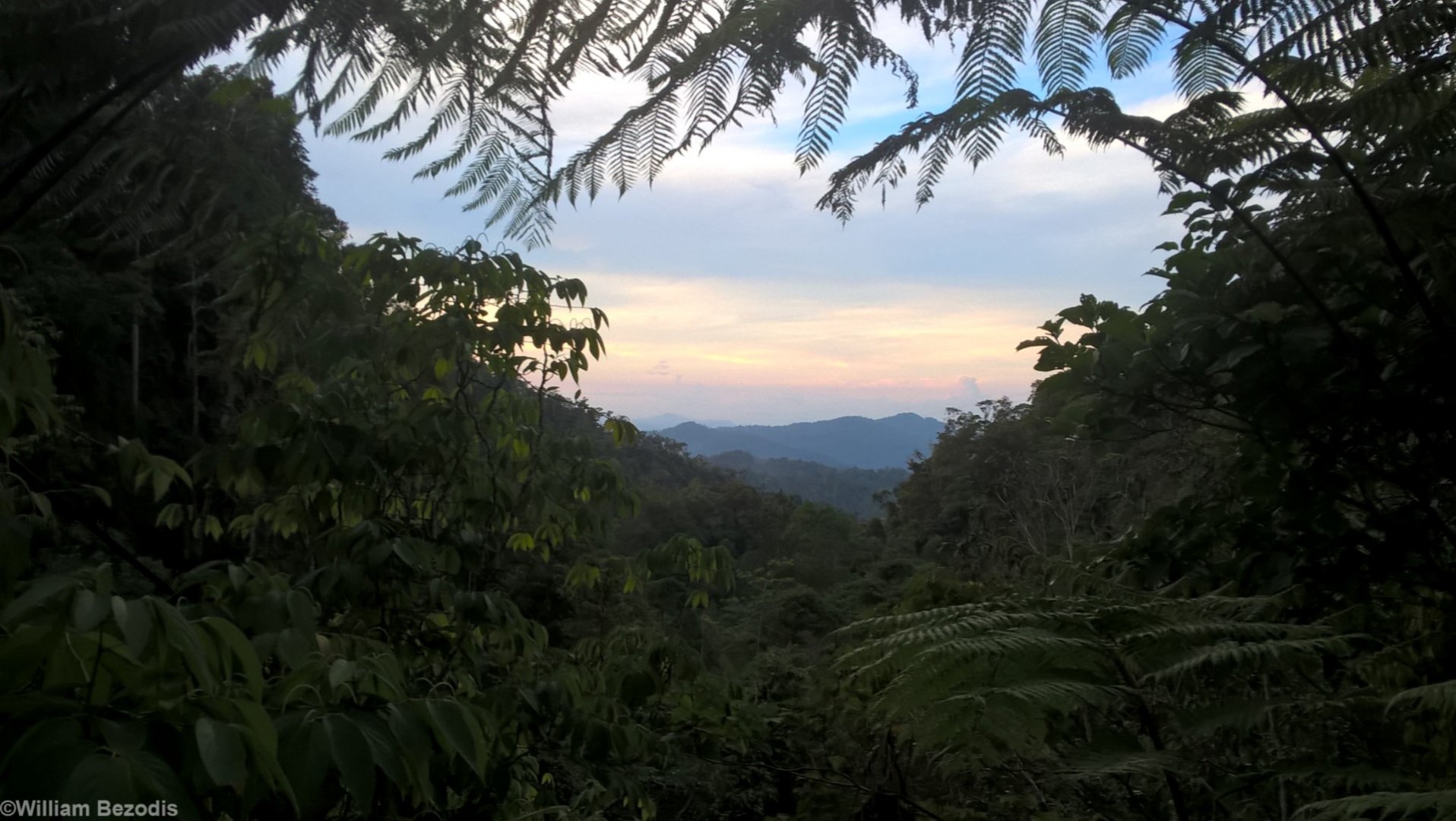 Sunset - Fraser's Hill