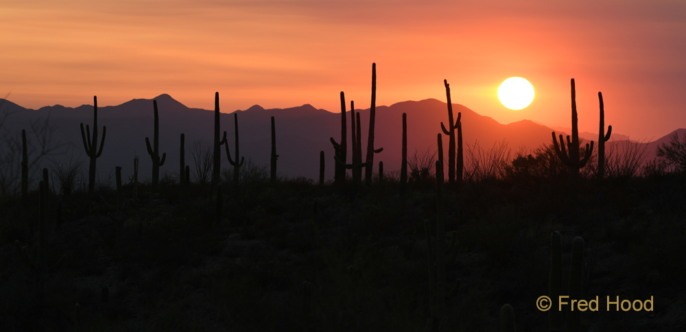 sunset from museum grounds