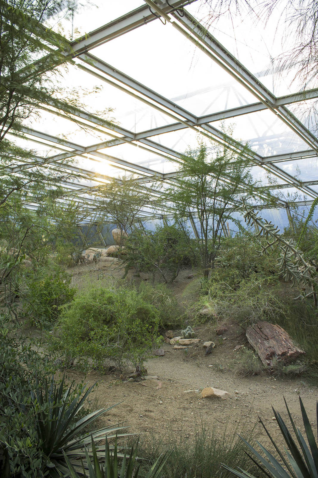 Sunset in Burgers Desert, 8/15/14