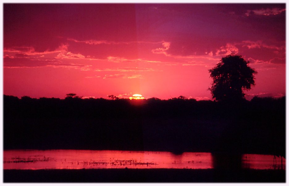 Sunset over Dom Pan- Hwange National Park, Zimbabwe