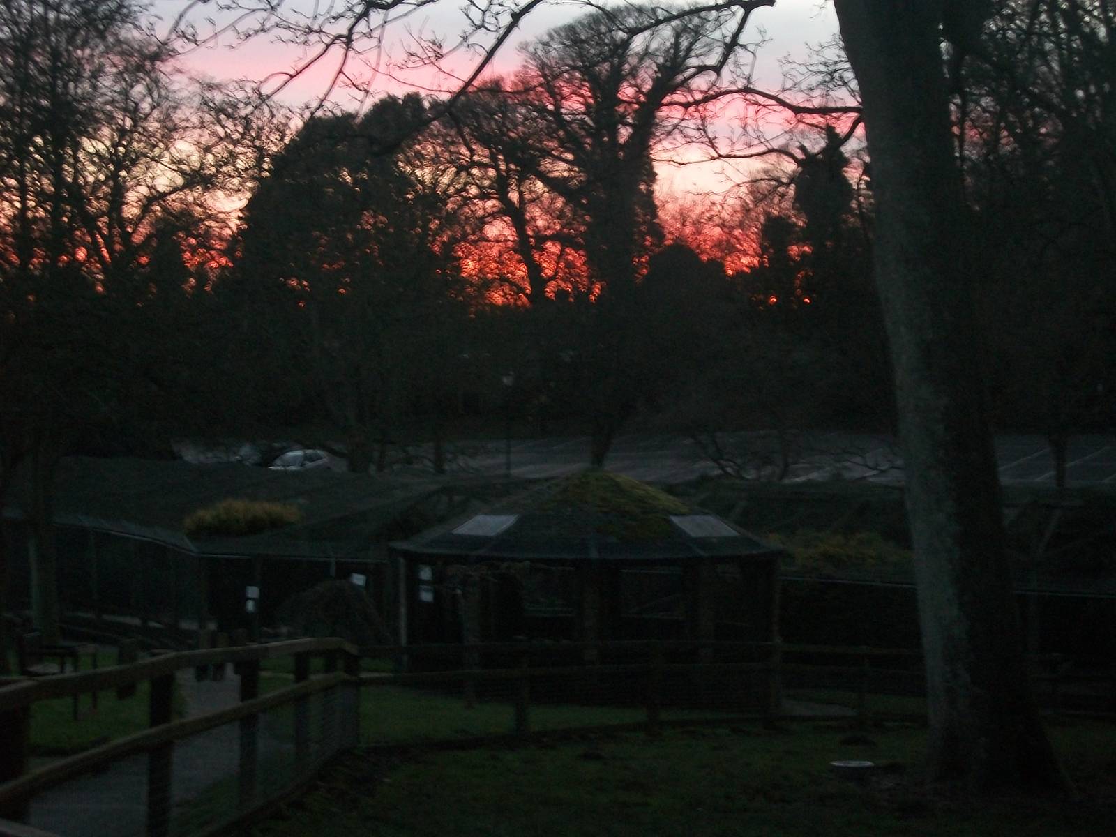 Sunset over Sewerby Zoo 30th November 2012