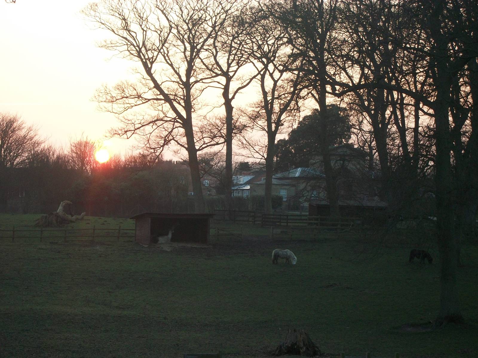 Sunset over the park paddock