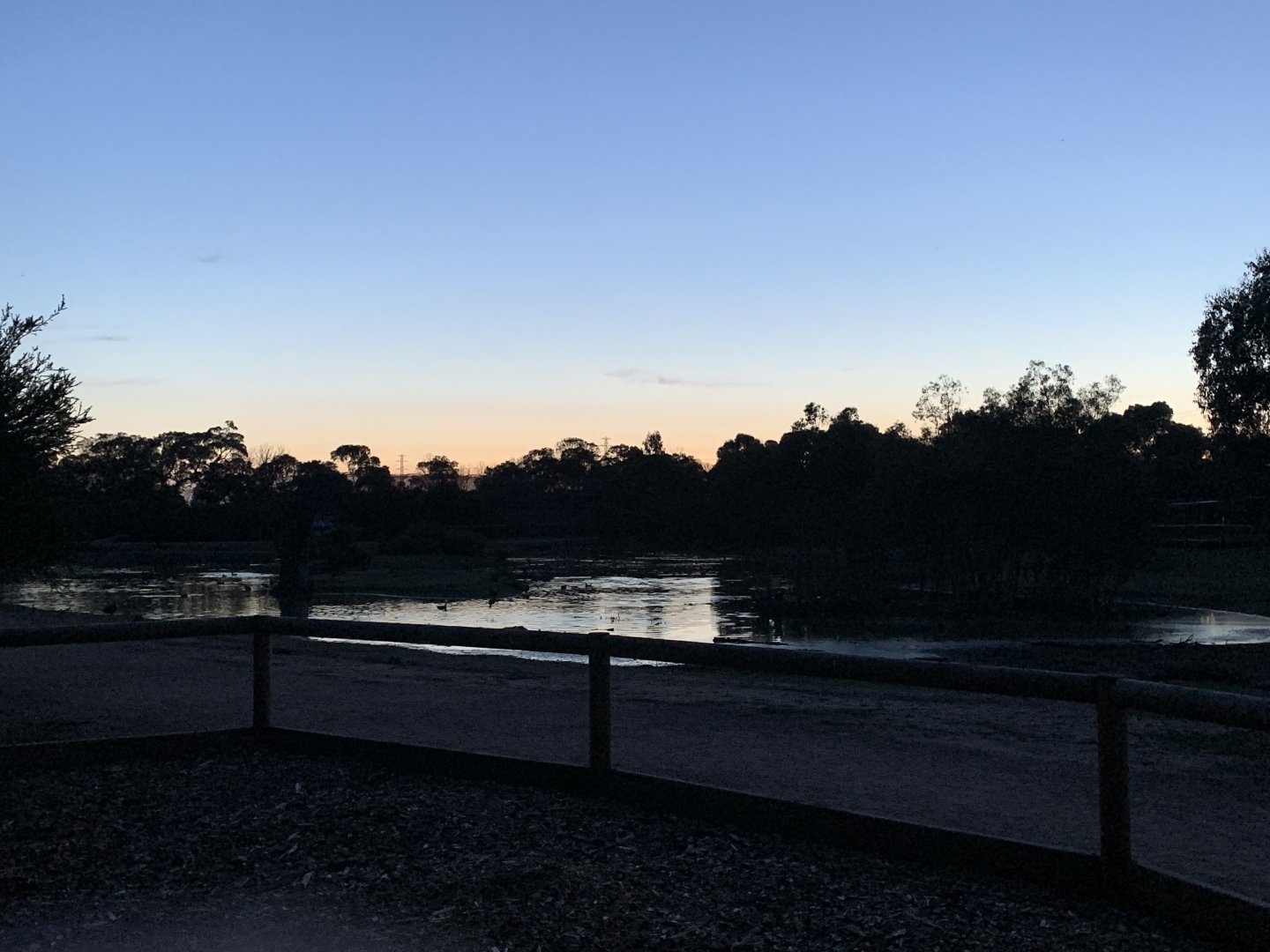 Sunset view of the wetland