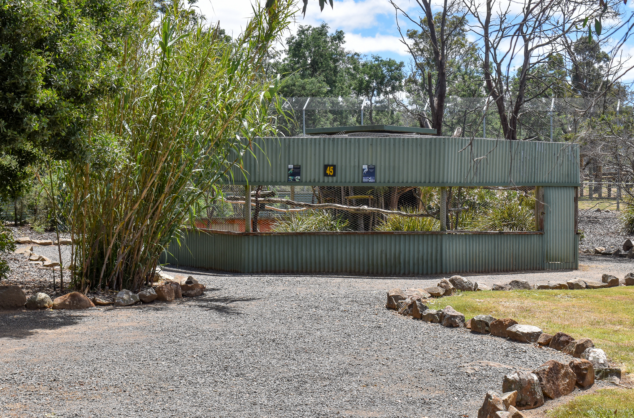Superb Parrot/Bush Stone-Curlew aviary
