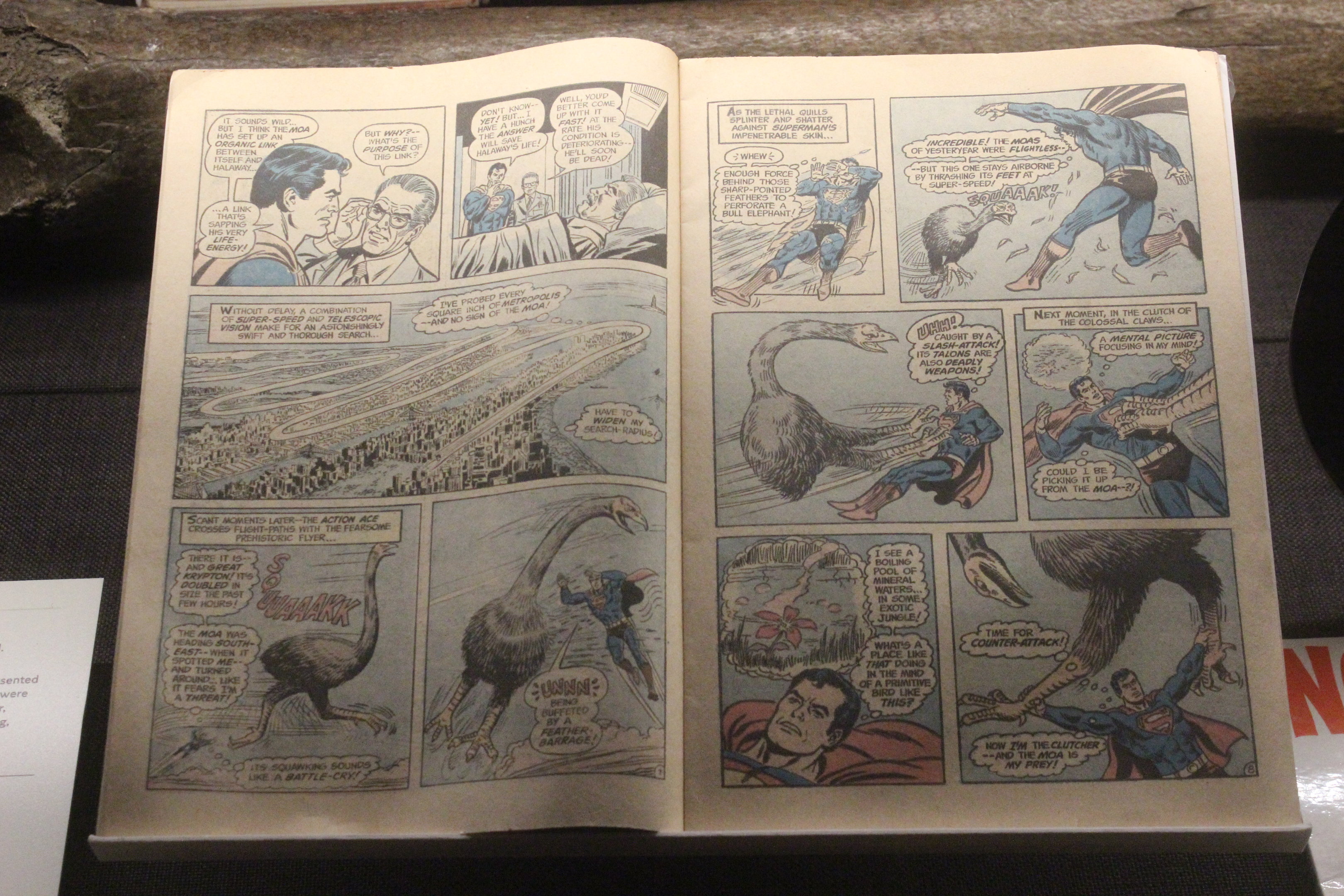 "Superman and the Last Moa on Earth!", Whanganui Regional Museum