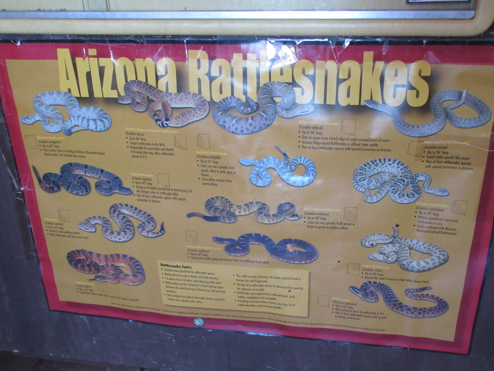 Superstition Serpentarium (Arizona) - Reptile Zoo (cool poster)