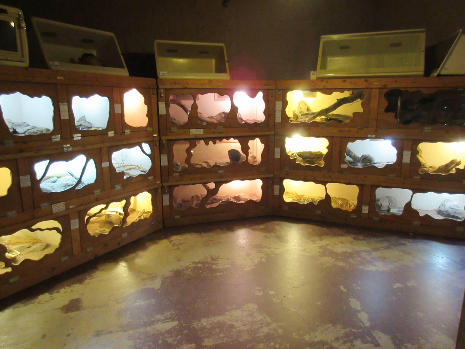 Superstition Serpentarium (Arizona) - Reptile Zoo