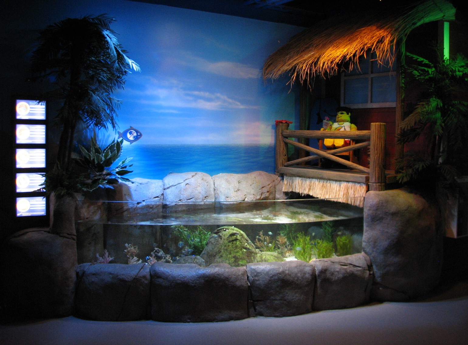 Surf Break - Open-top Exhibit