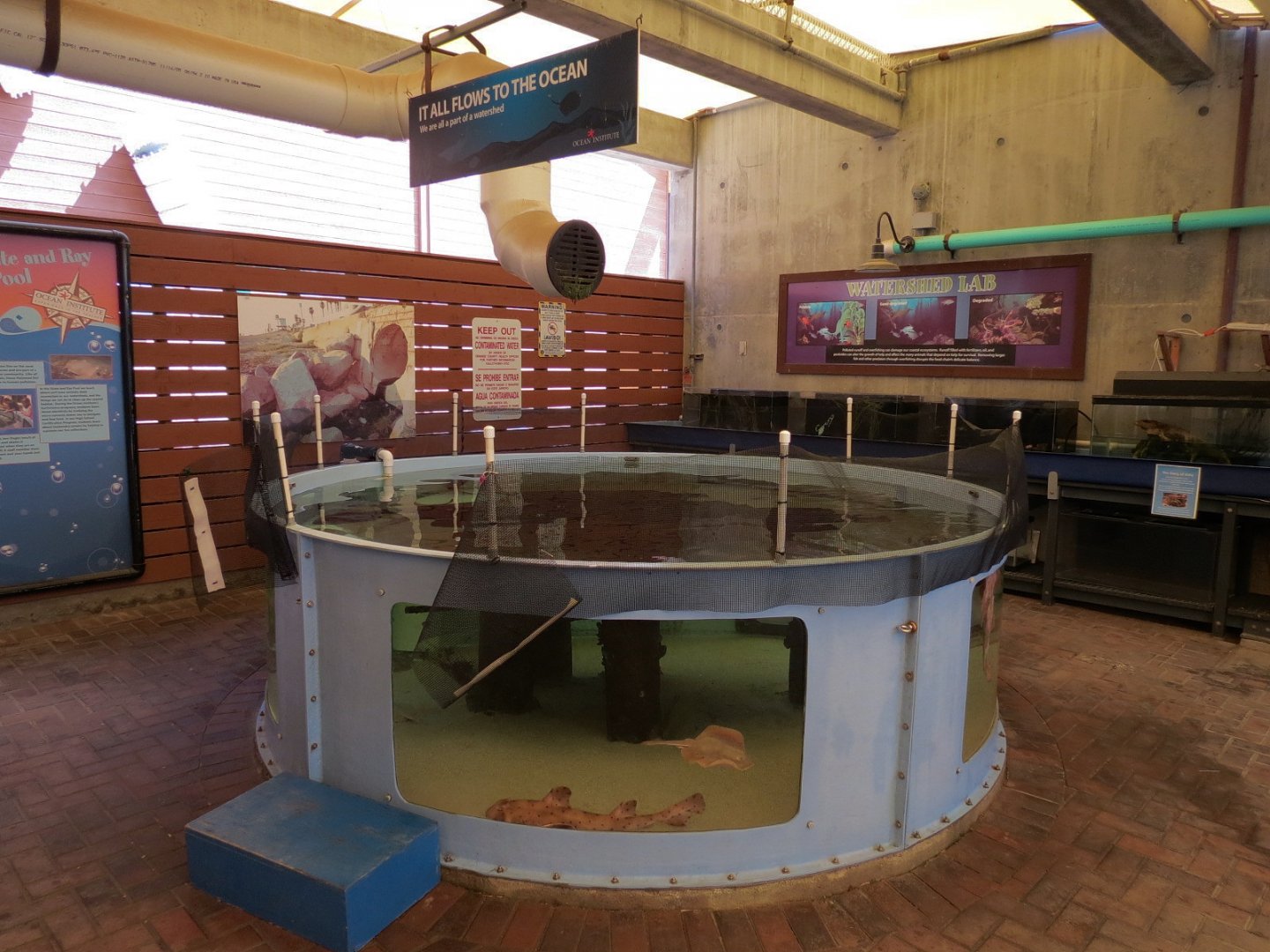 Surf Science Learning Center - Live Exhibits