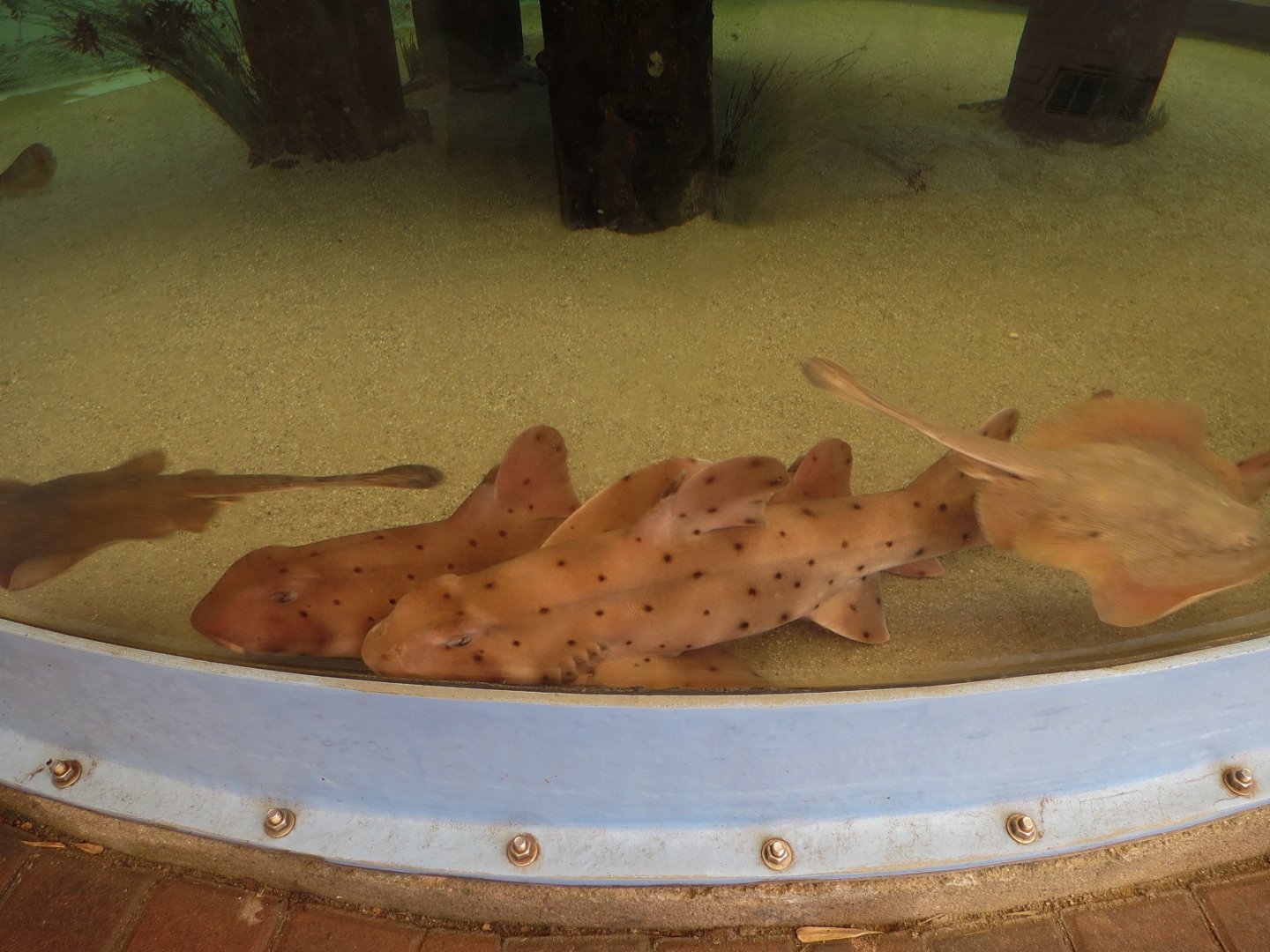 Surf Science Learning Center - Live Exhibits