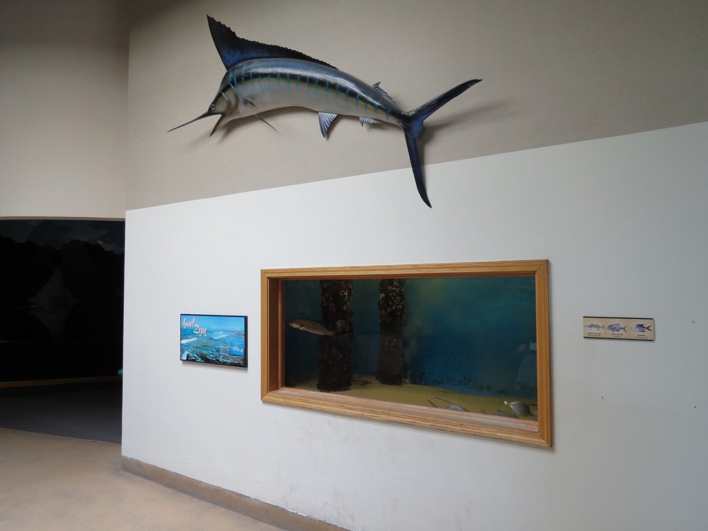 Surf Zone Exhibit