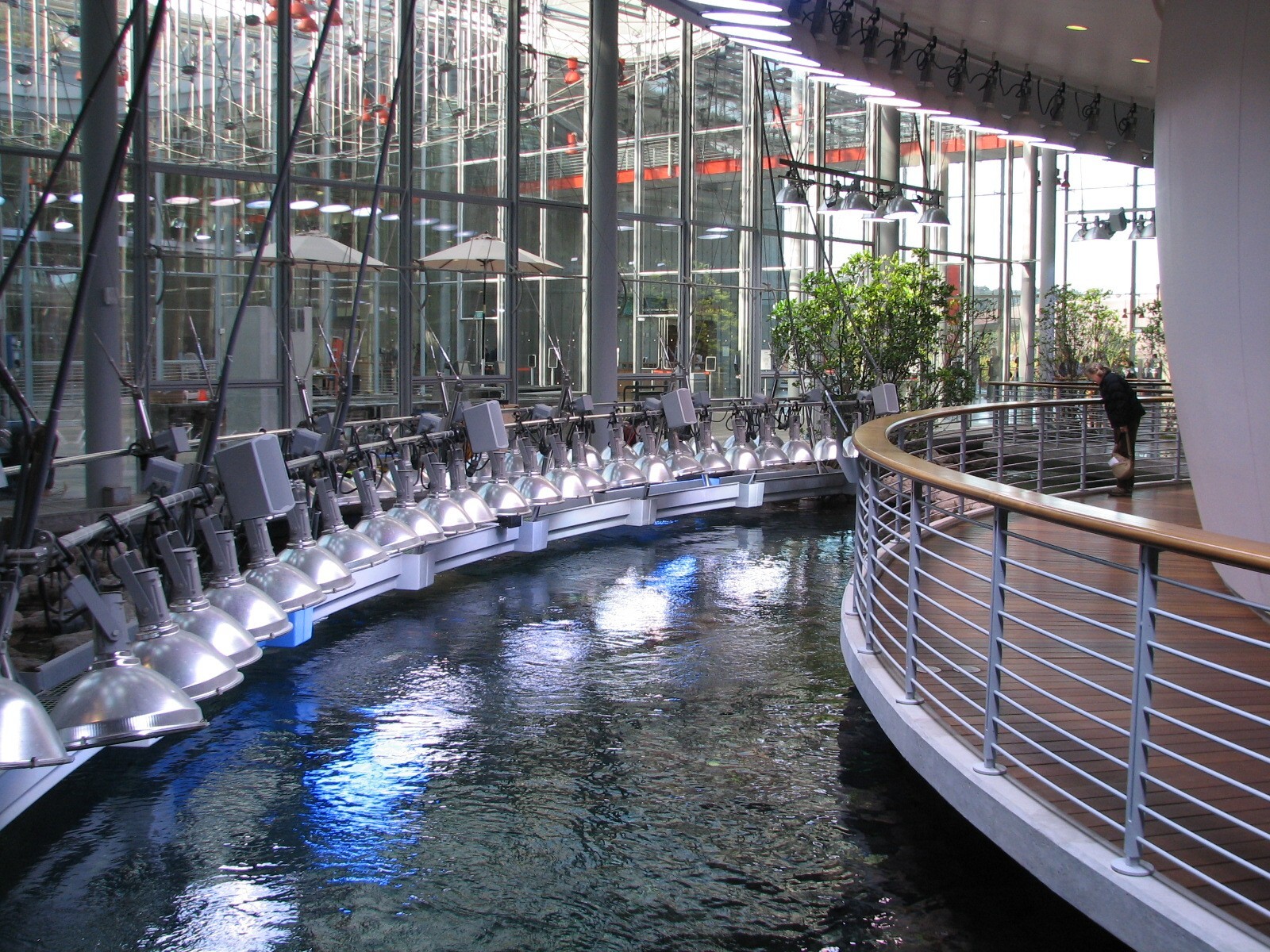 Surface of Philippine Coral Reef