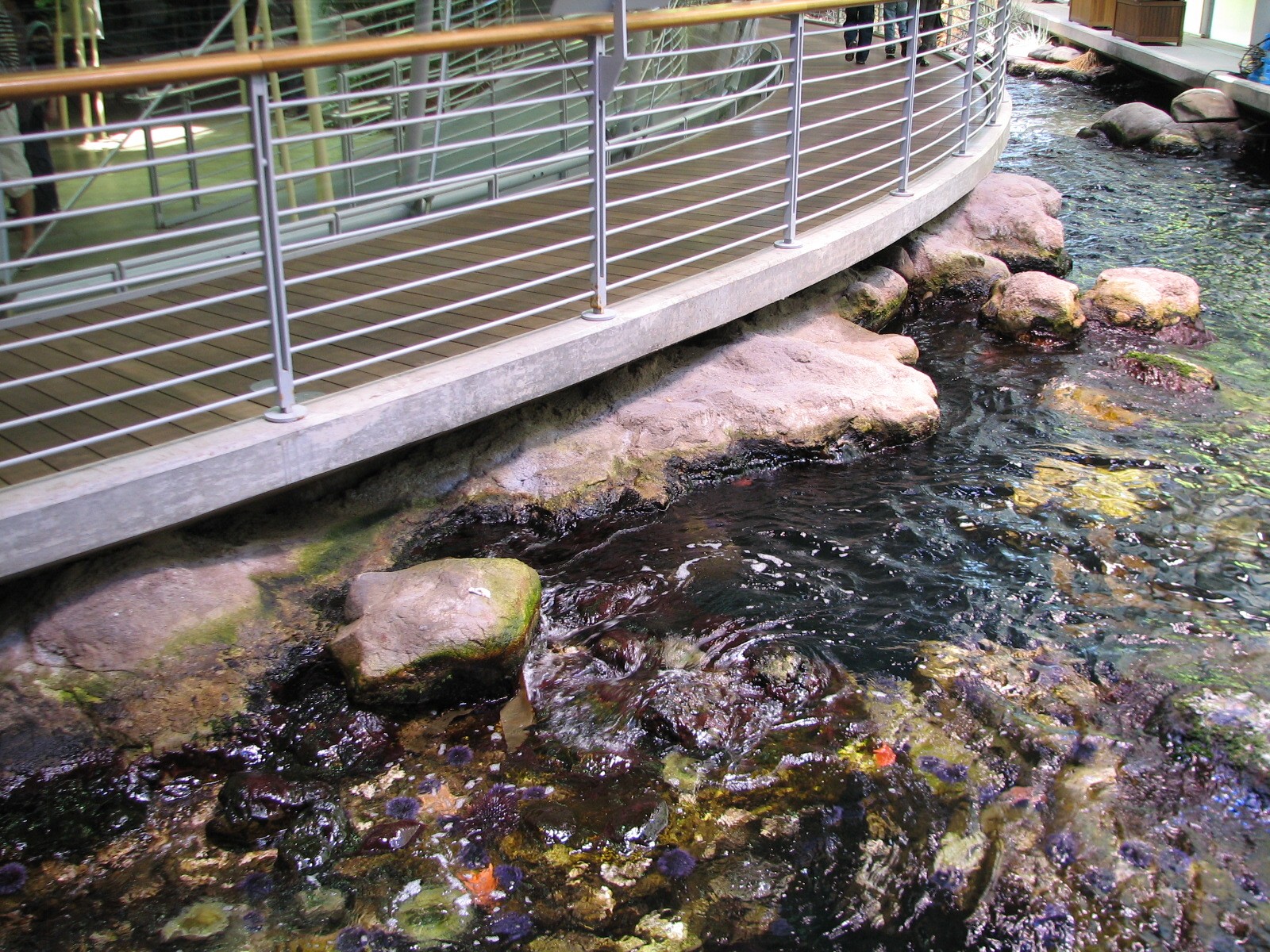 Surface View of Northern California Coast Exhibit